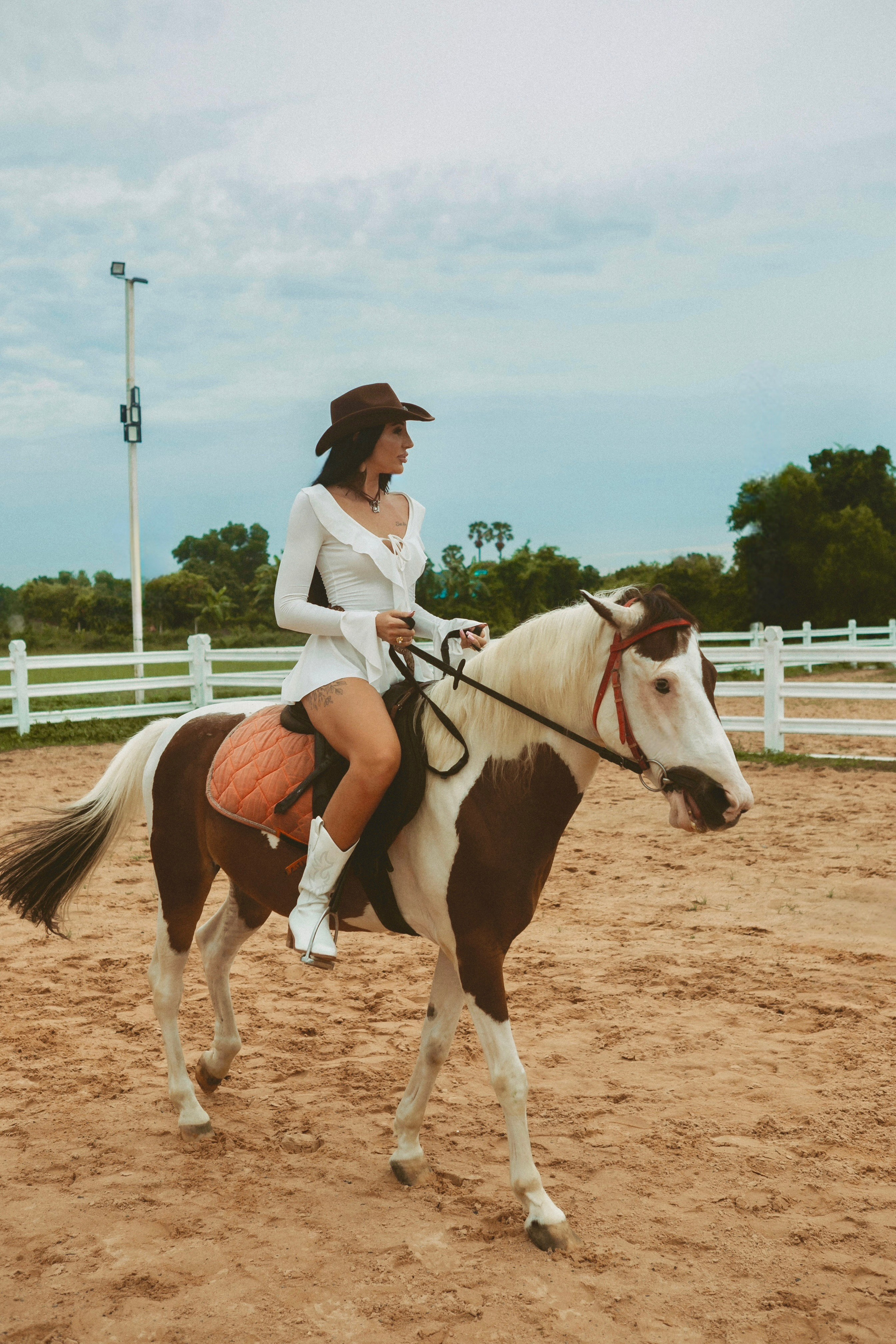 Конная прогулка. Татьяна Бондаренко фотограф (индивидуальные, семейные, лавстори)