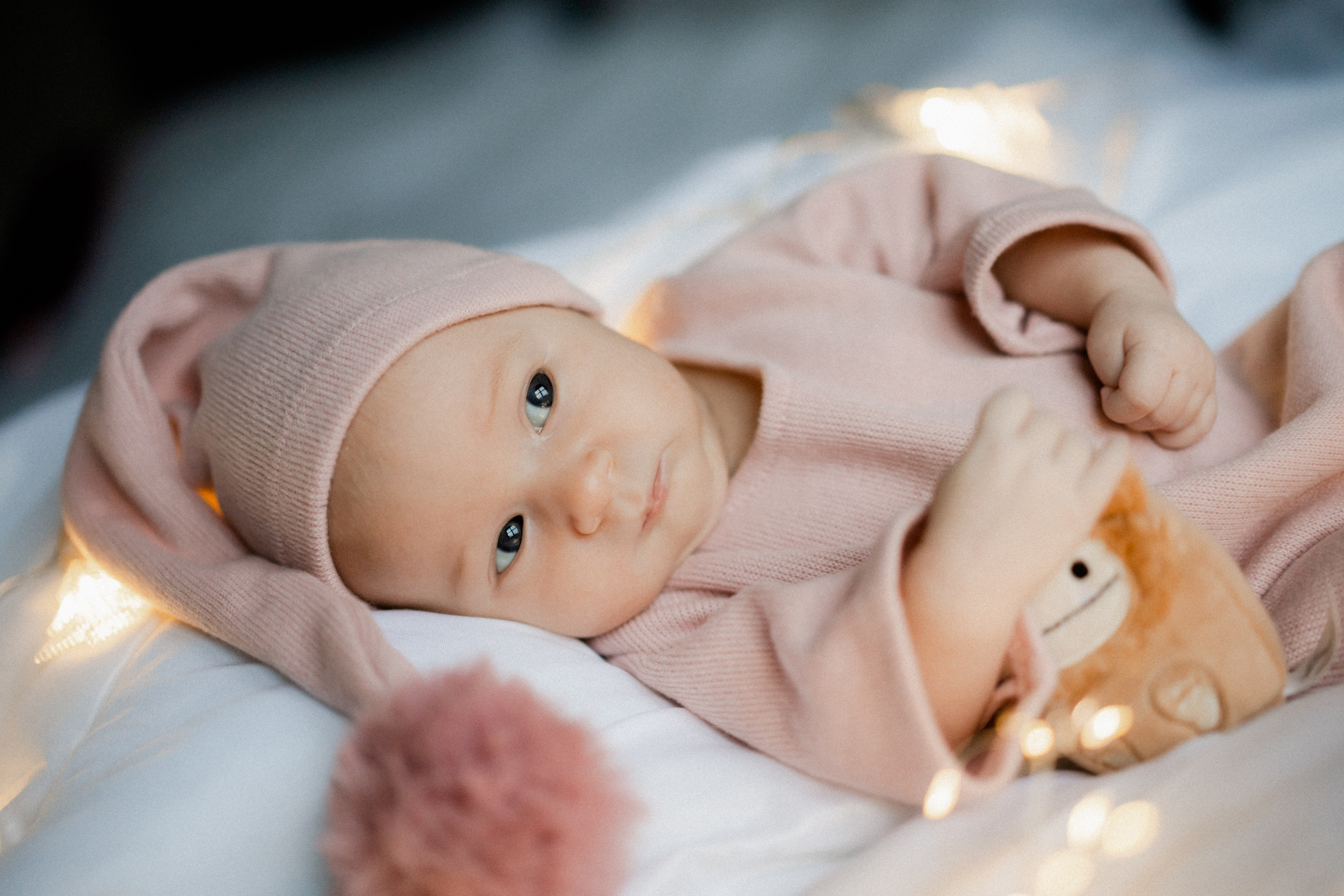 Newborn Baby Alla. Wedding and family photographer Ireland