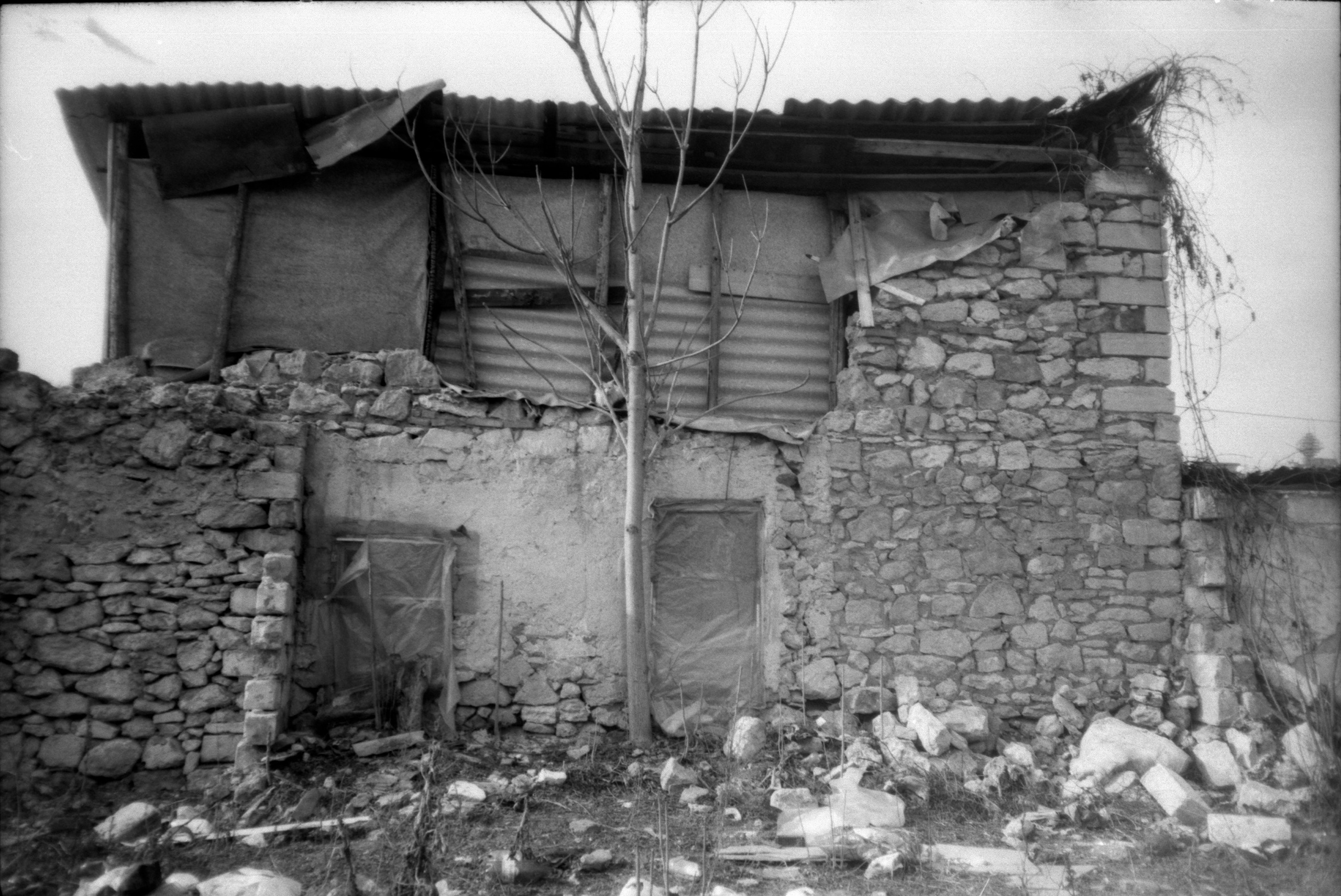 Garden of stones. Natalia Parfenova visual artist film photographer