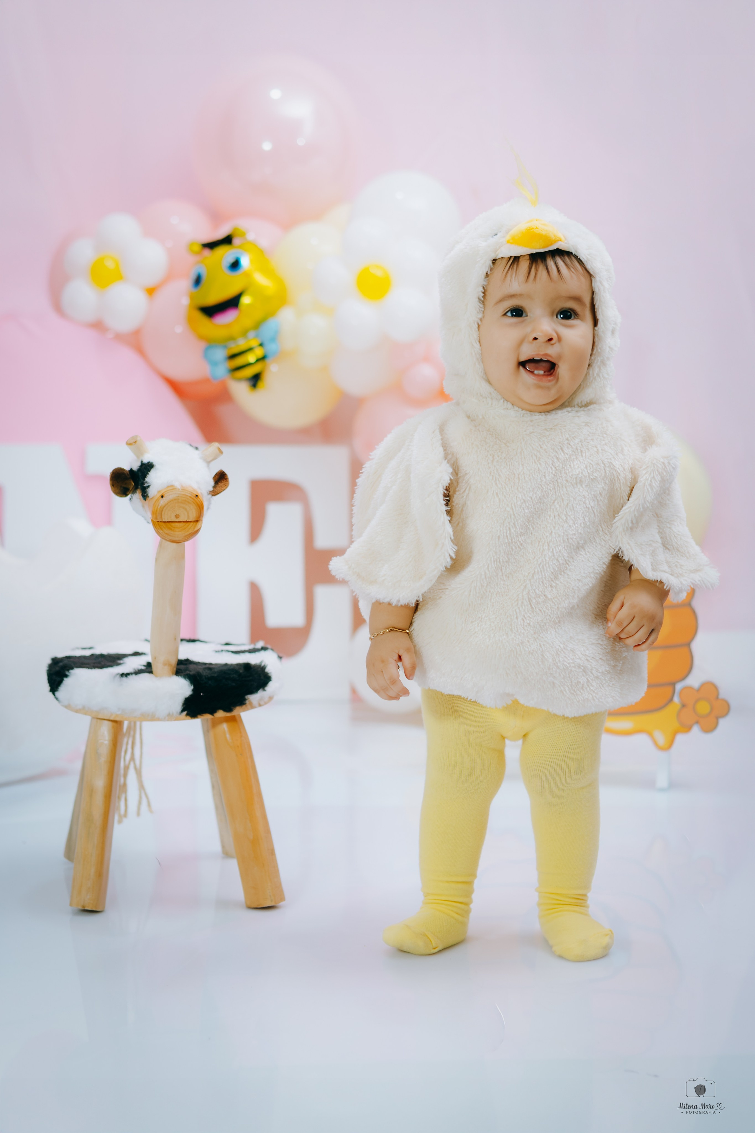 PRIMER AÑO ABEJITA. Milena Maro Fotografía: estudio profesional en Acacías, Meta. Retrato familiar, infantil, maternas, eventos y empresas