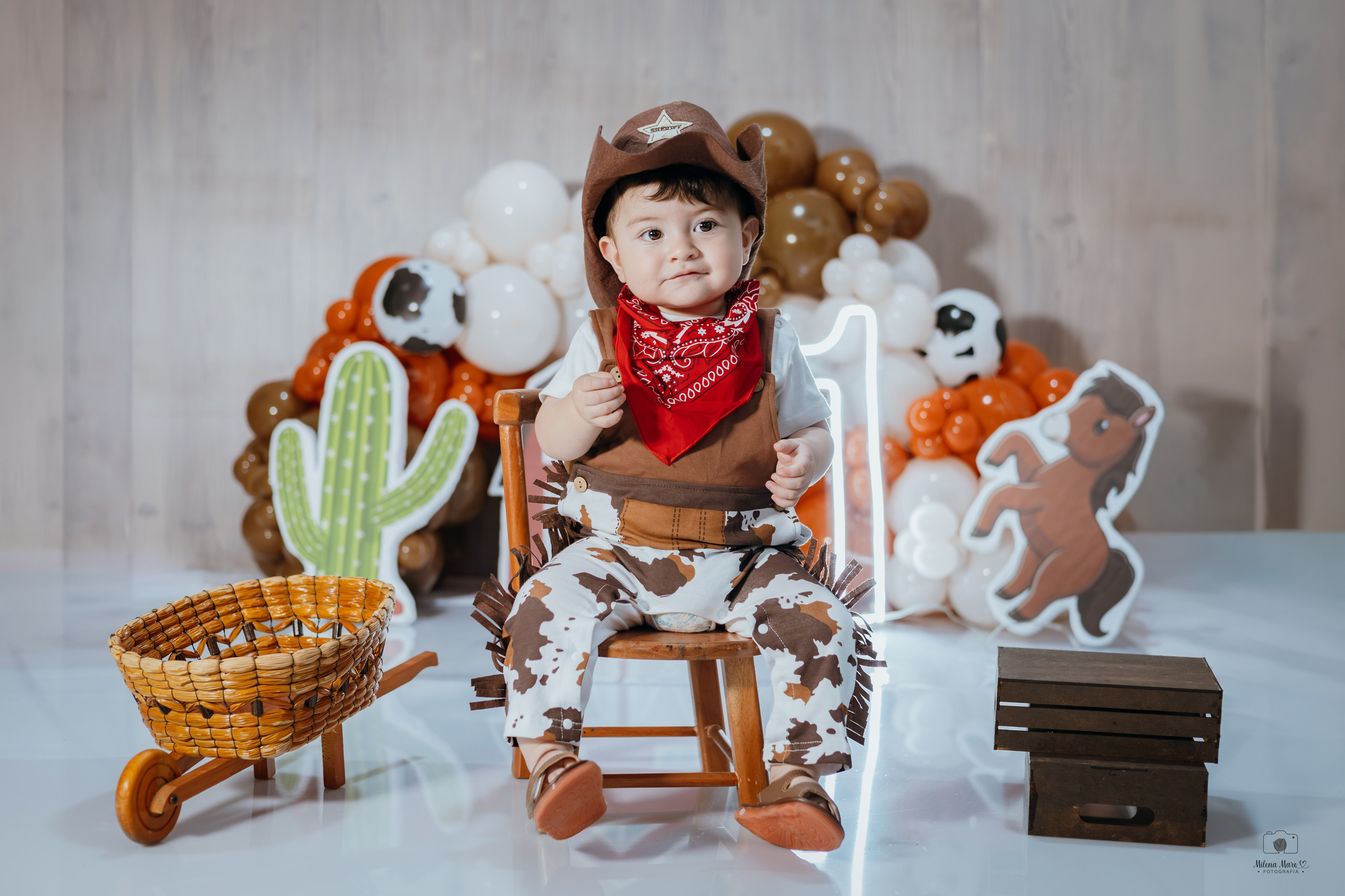 CAKE SMASH - PRIMER AÑO. Milena Maro Fotografía: estudio profesional en Acacías, Meta. Retrato familiar, infantil, maternas, eventos y empresas