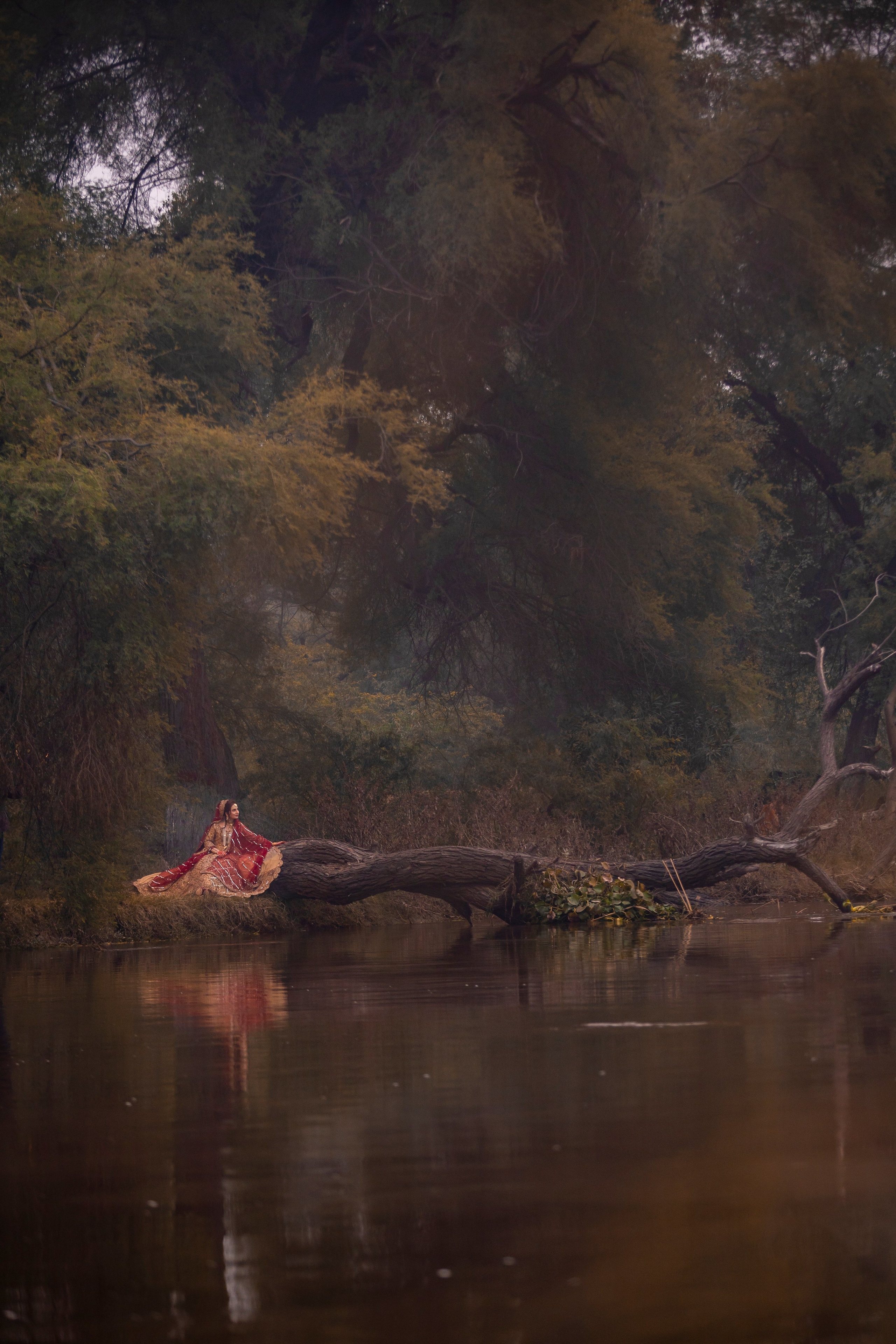 Portfolio. Chaar Bhai — Your Personal Family Historians