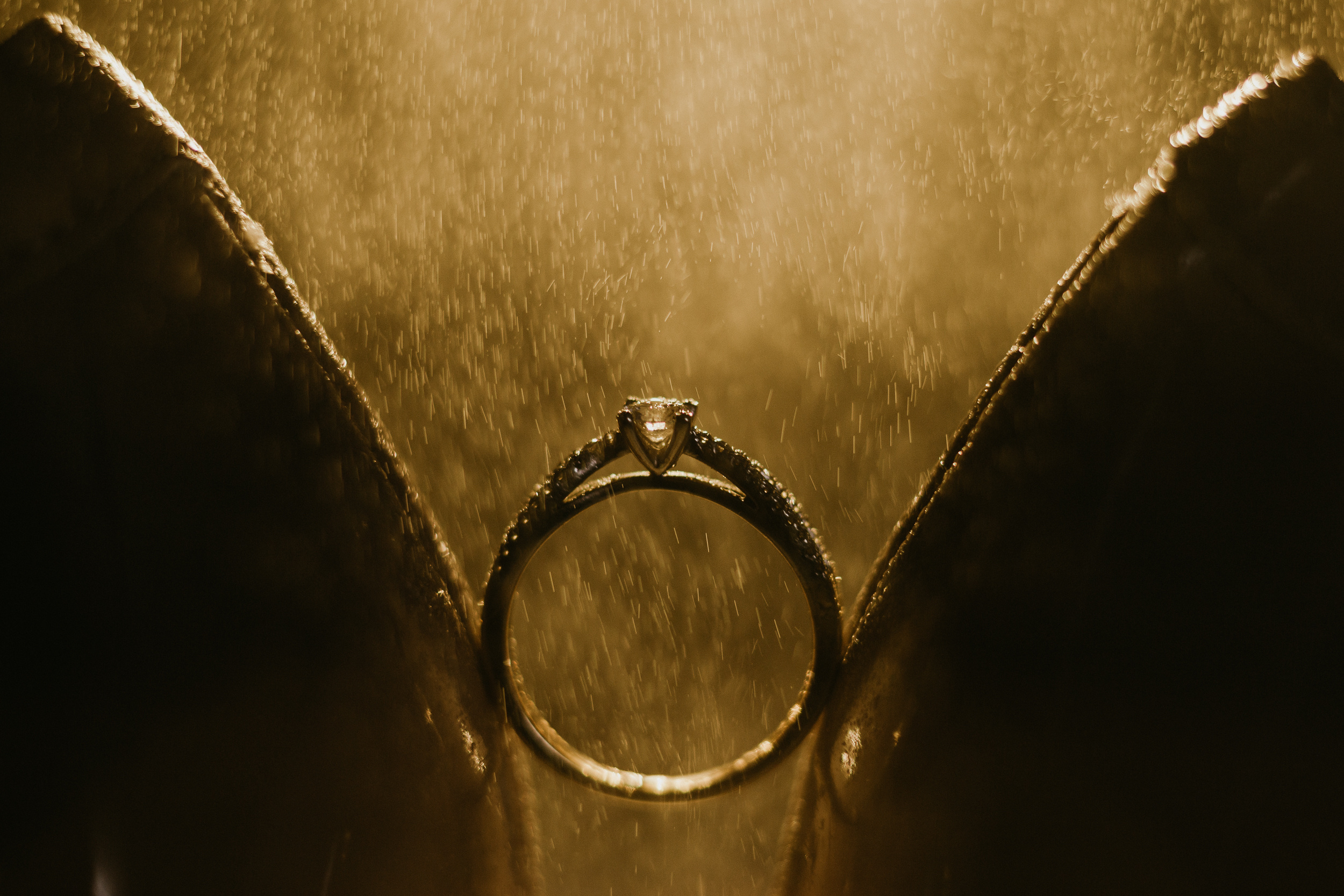 Свадебная фотосессия в Европе в Гамбурге Свадебный фотограф. Elizaveta Romanova Fotografin in Hamburg