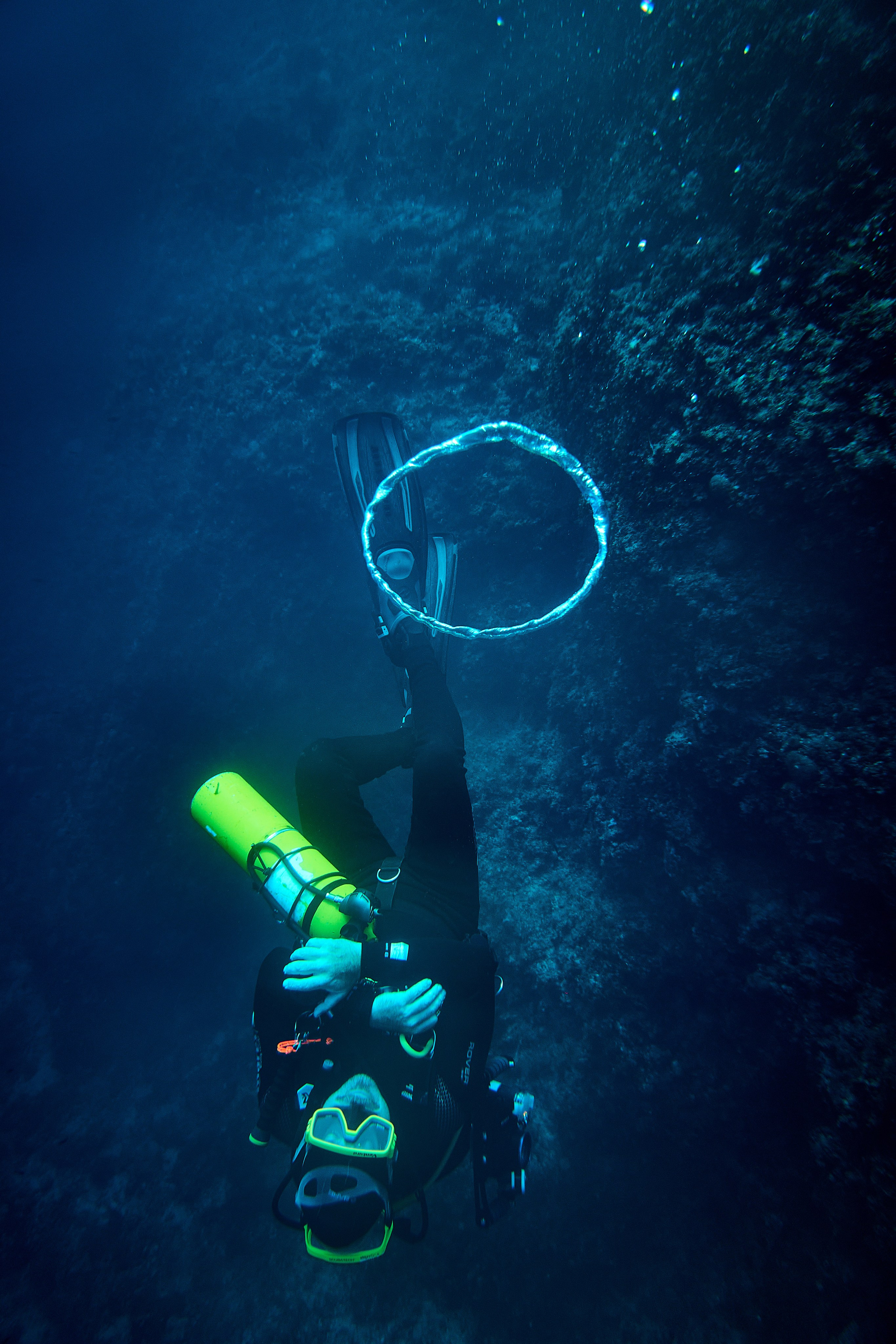 Fotograf podwodny Andriej Szypiłow. Андрей Шипилов — Фотография & Видеография