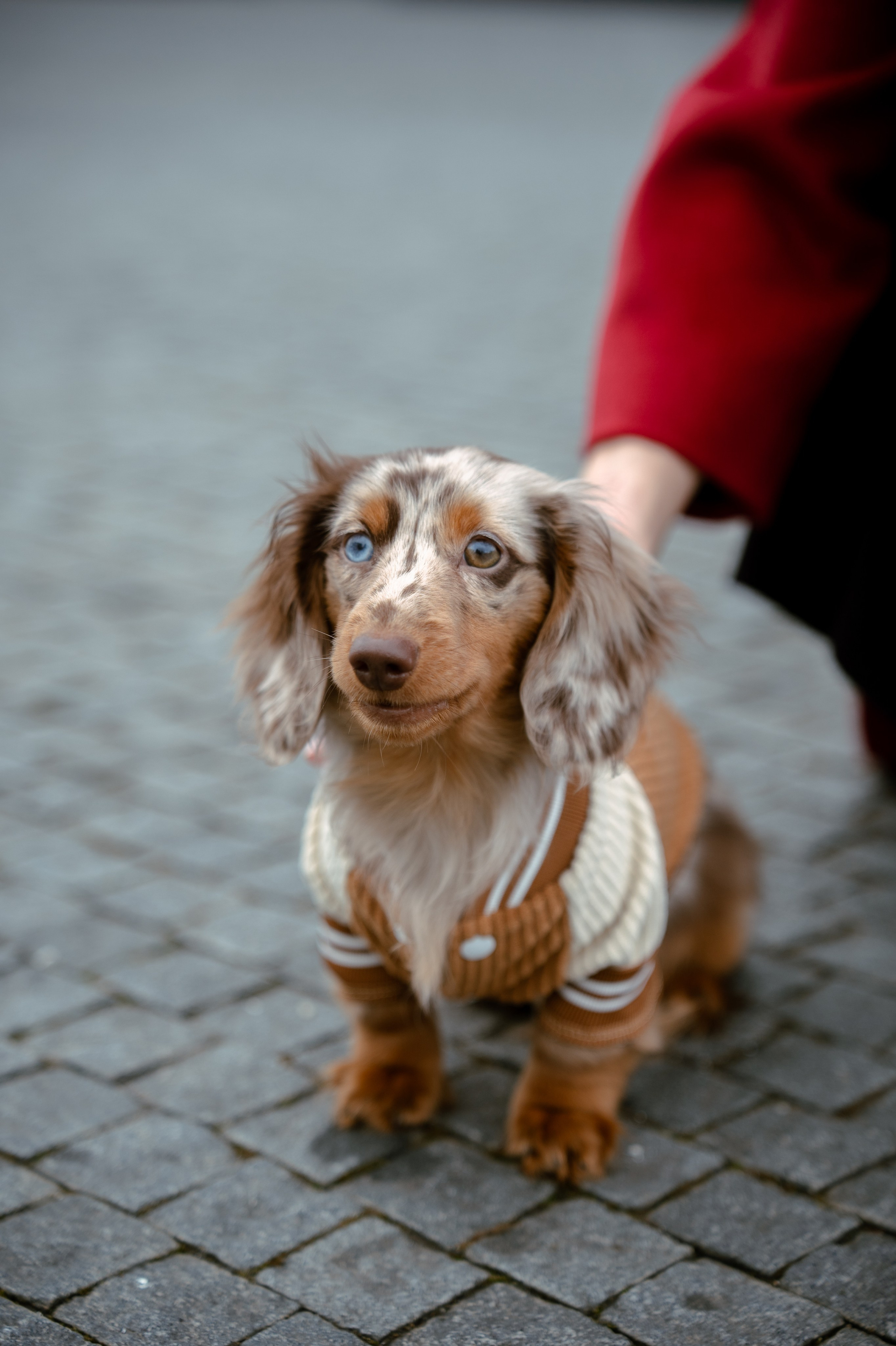 Olga, Christian & Isildur. Photo Vienna and Bratislava