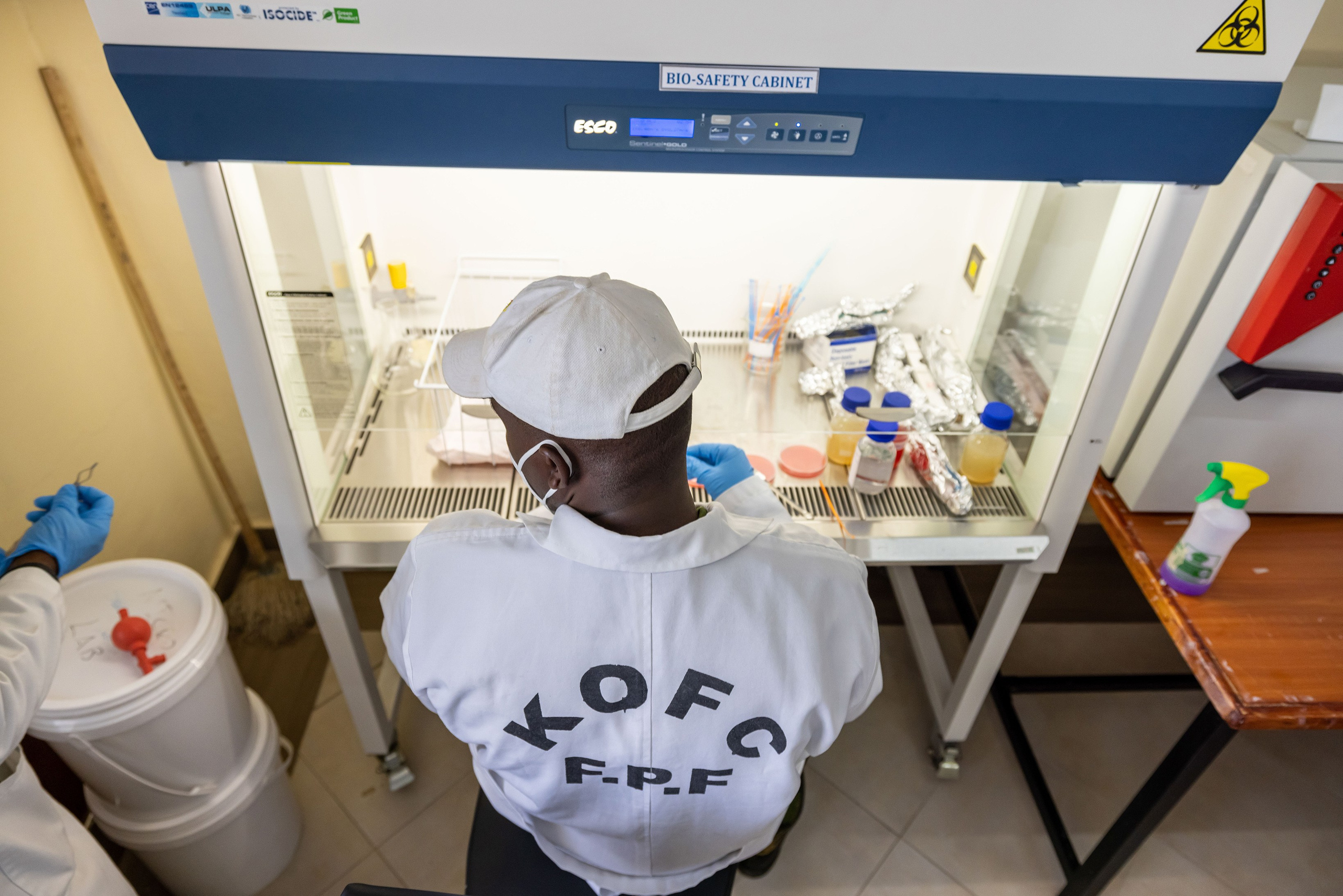 Documentary photography