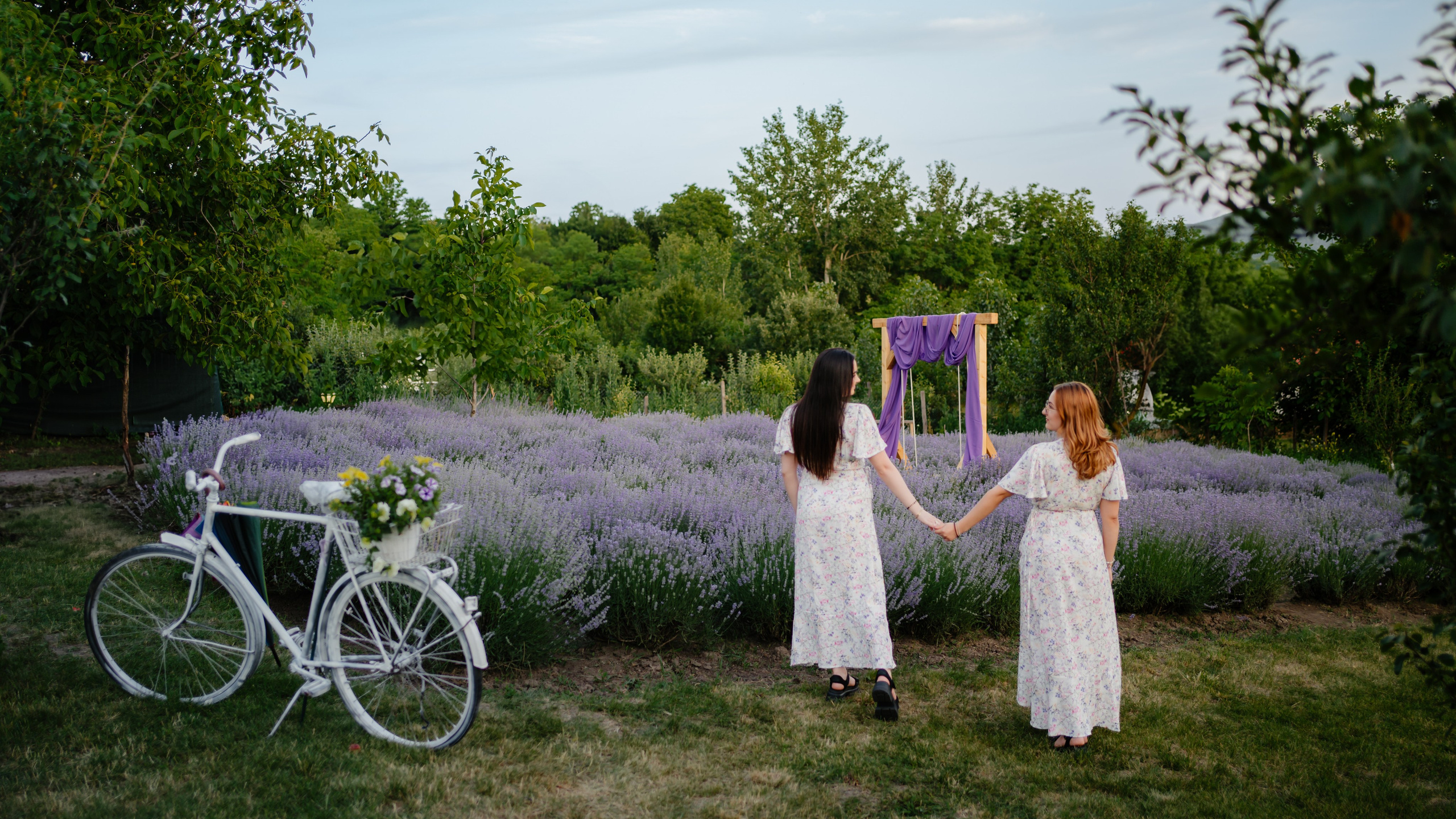 Lavanda. Daniel Films