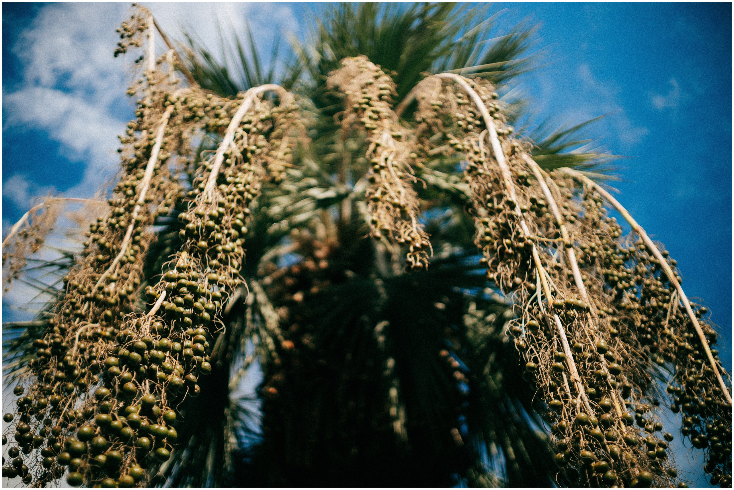 PALERMO. Photographer Inna Mendelson