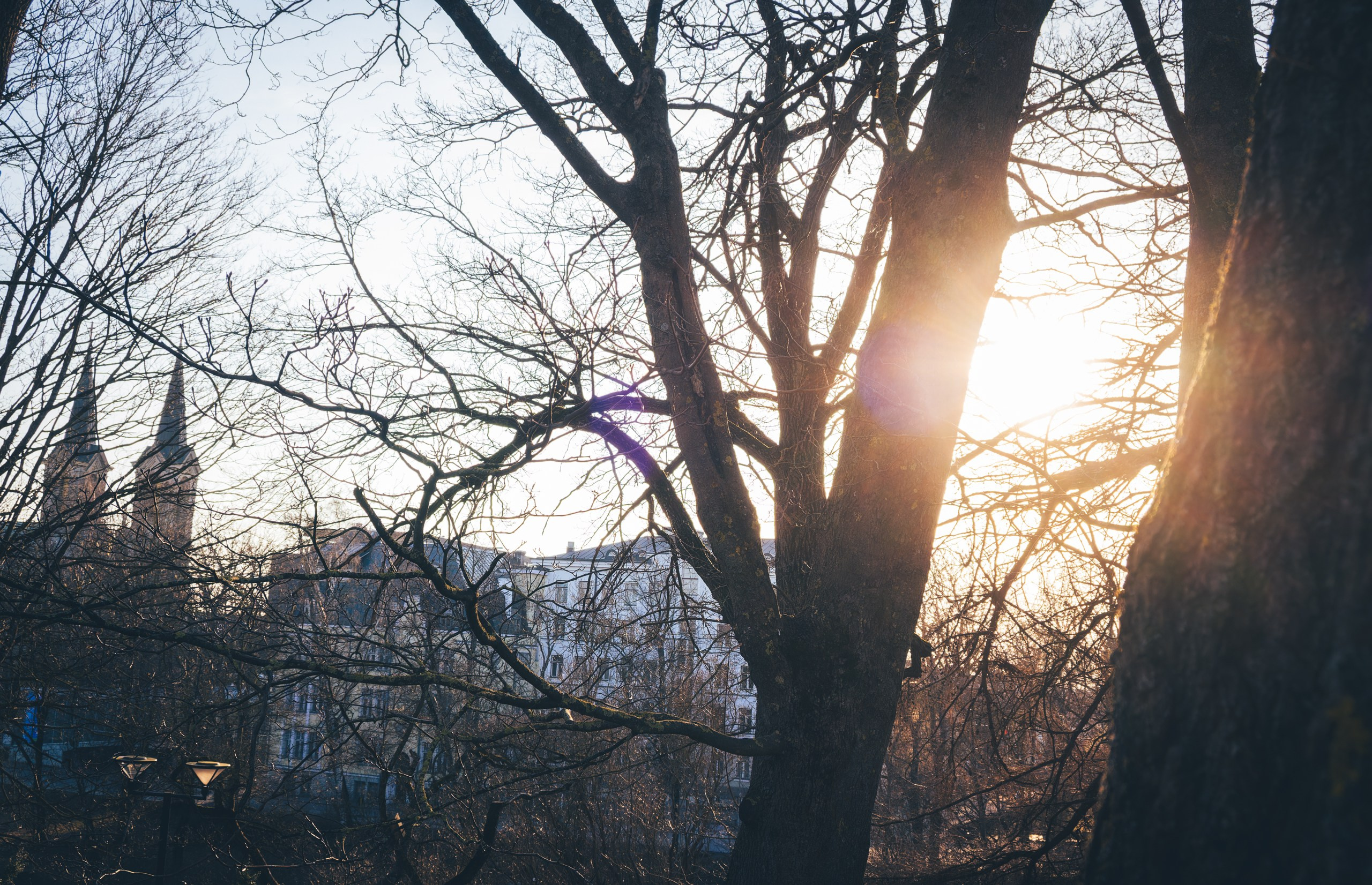 Vana-Tallinn + Gold dragon, Jalutamine (Anja K.). Nebula 25 — Fotod teie hingele