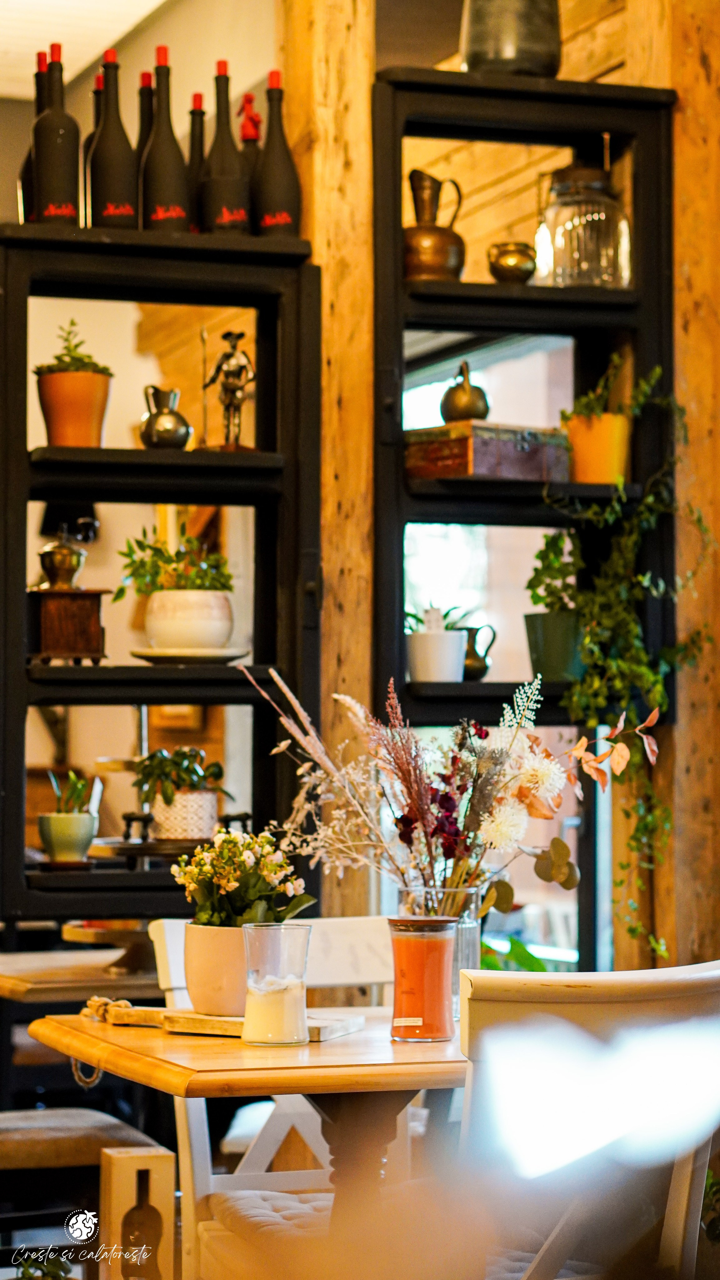 Bransilvania. Creste si calatoreste