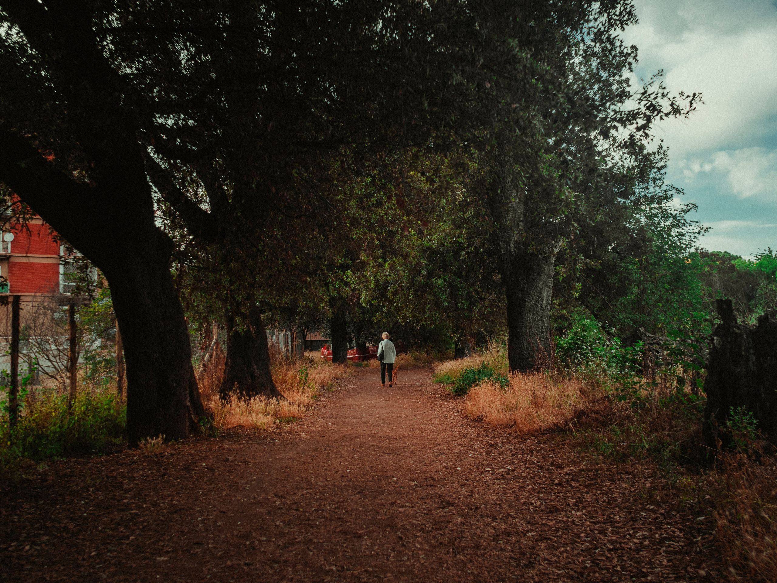 Street. Federico Anglano