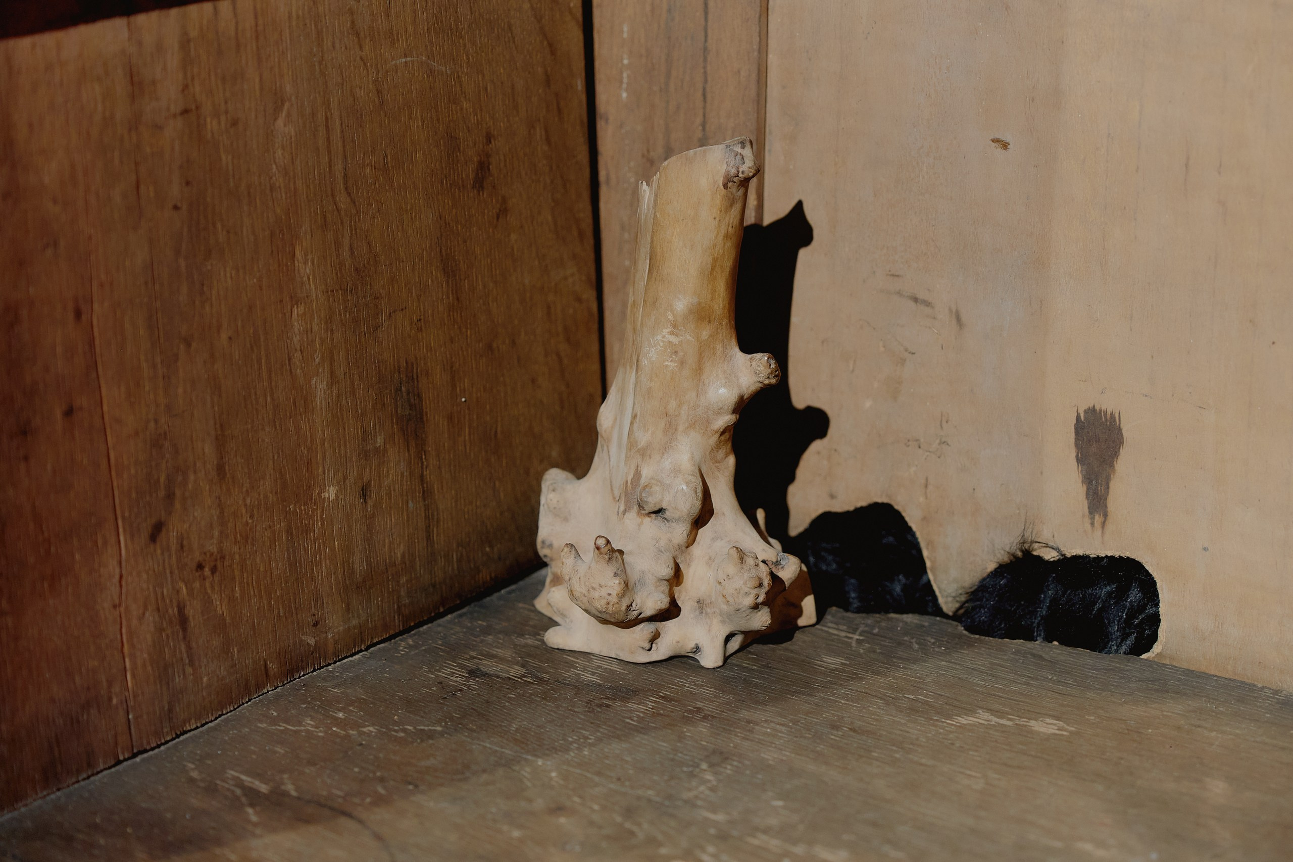 Spira mirabilis| Удивительная спираль. Alina Kugush