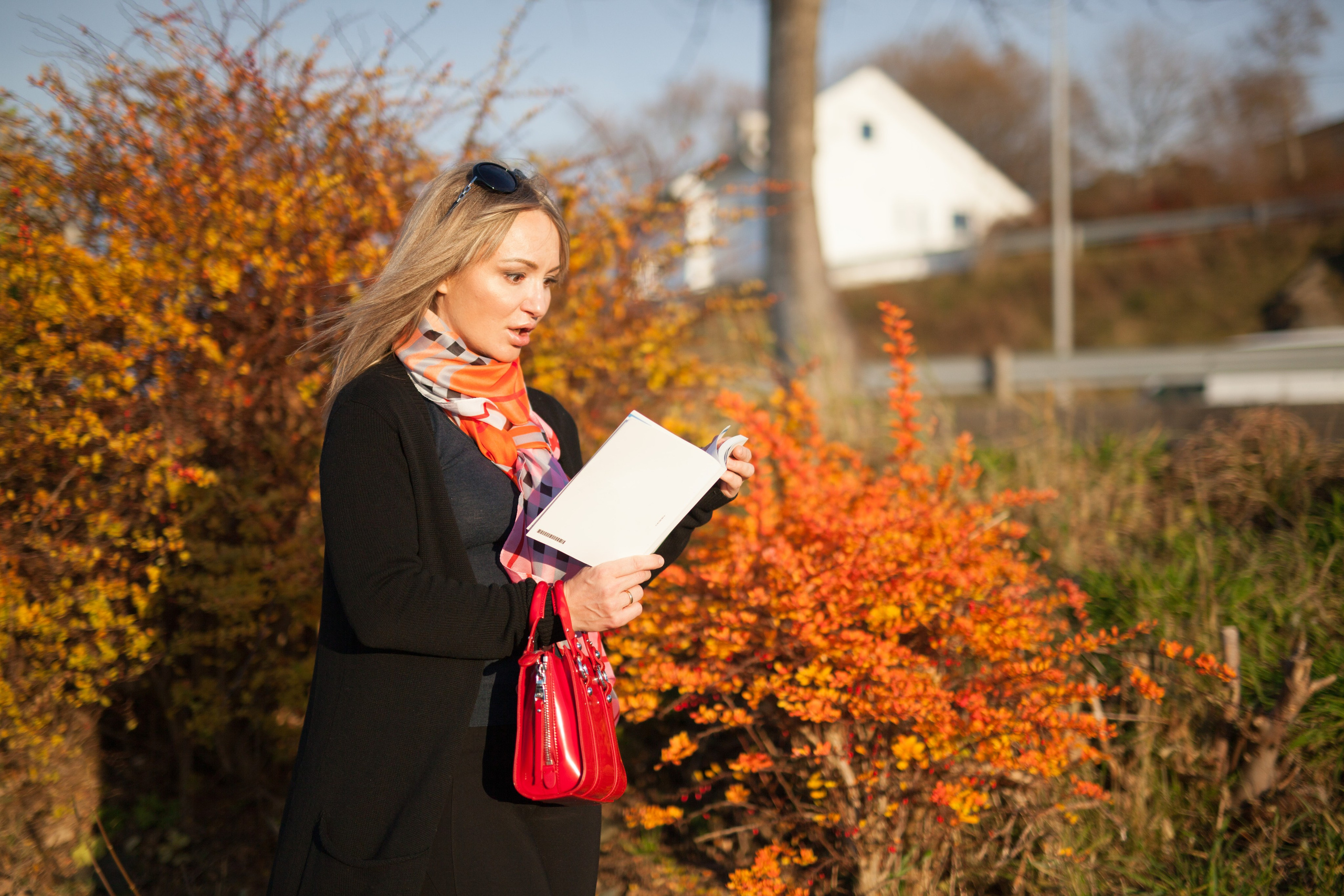 Autumn pears. Family and real state photographer in Haugesund Dina Vikra