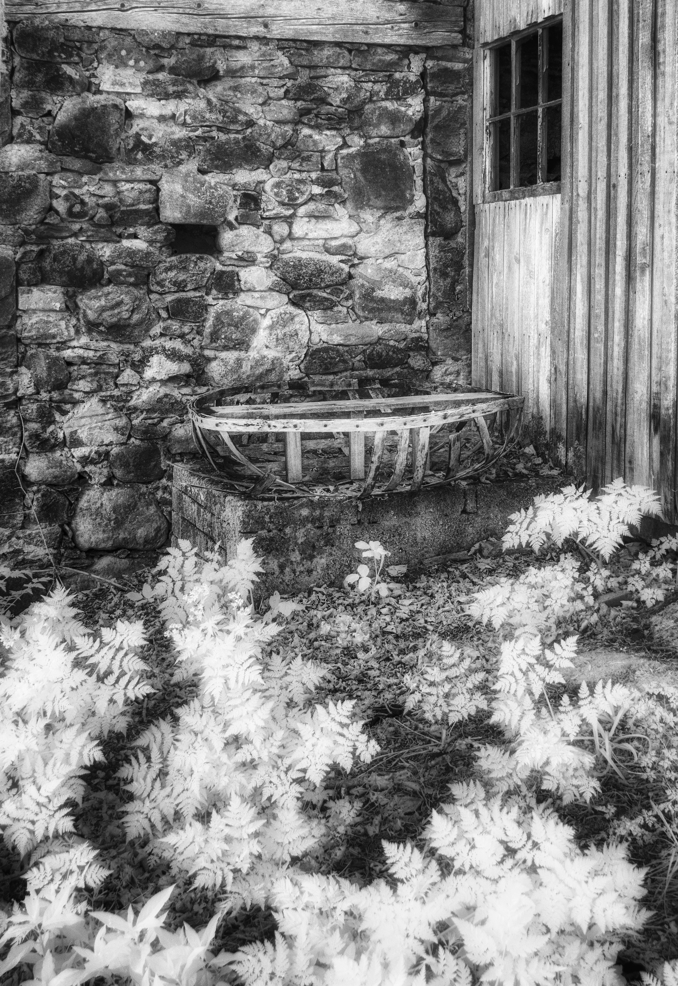 The Empty Lands. Infrared Scotland