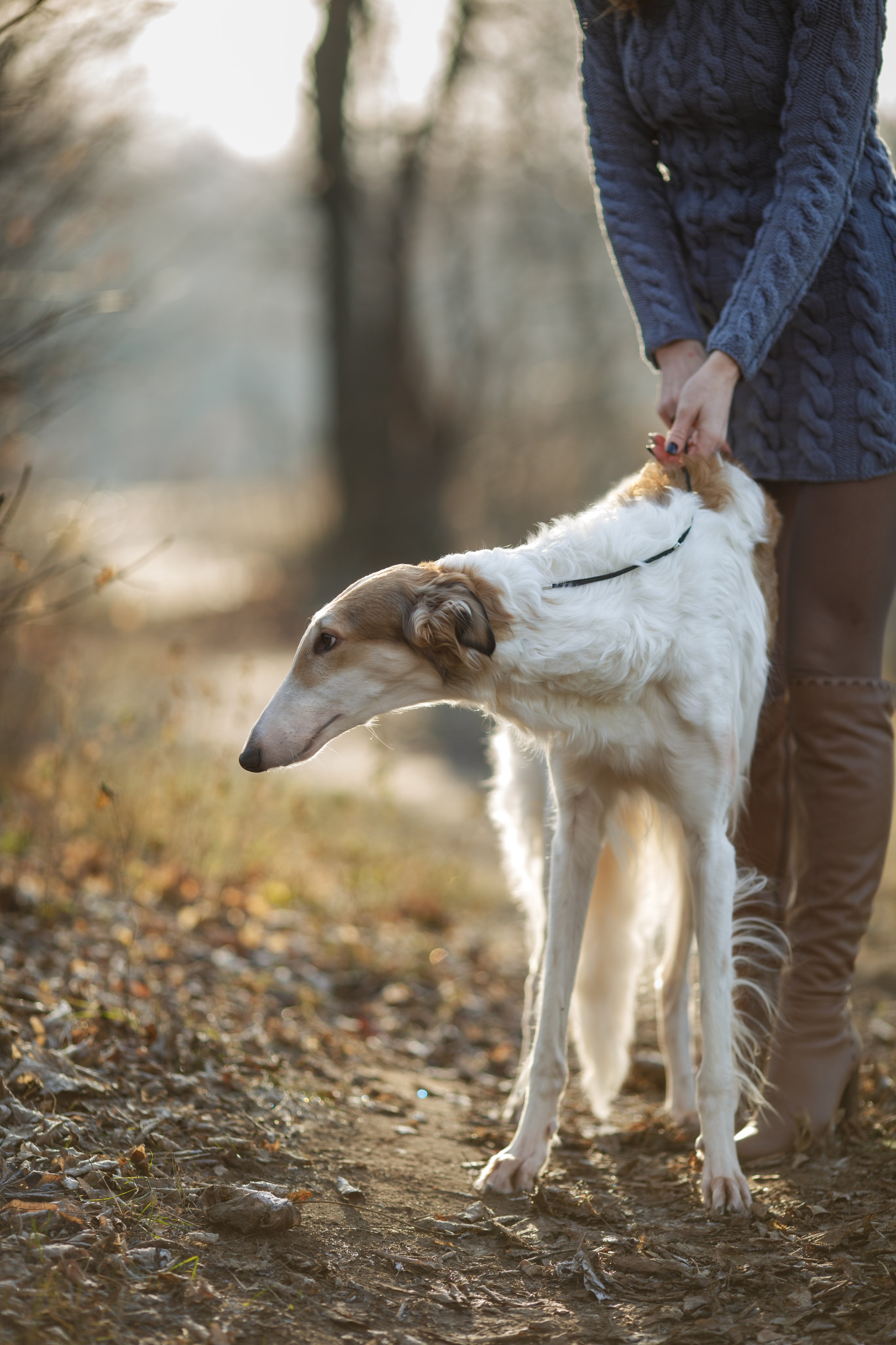 Sviteroff. Autumn collection 2019. Tatiana Smirnova — Photographer