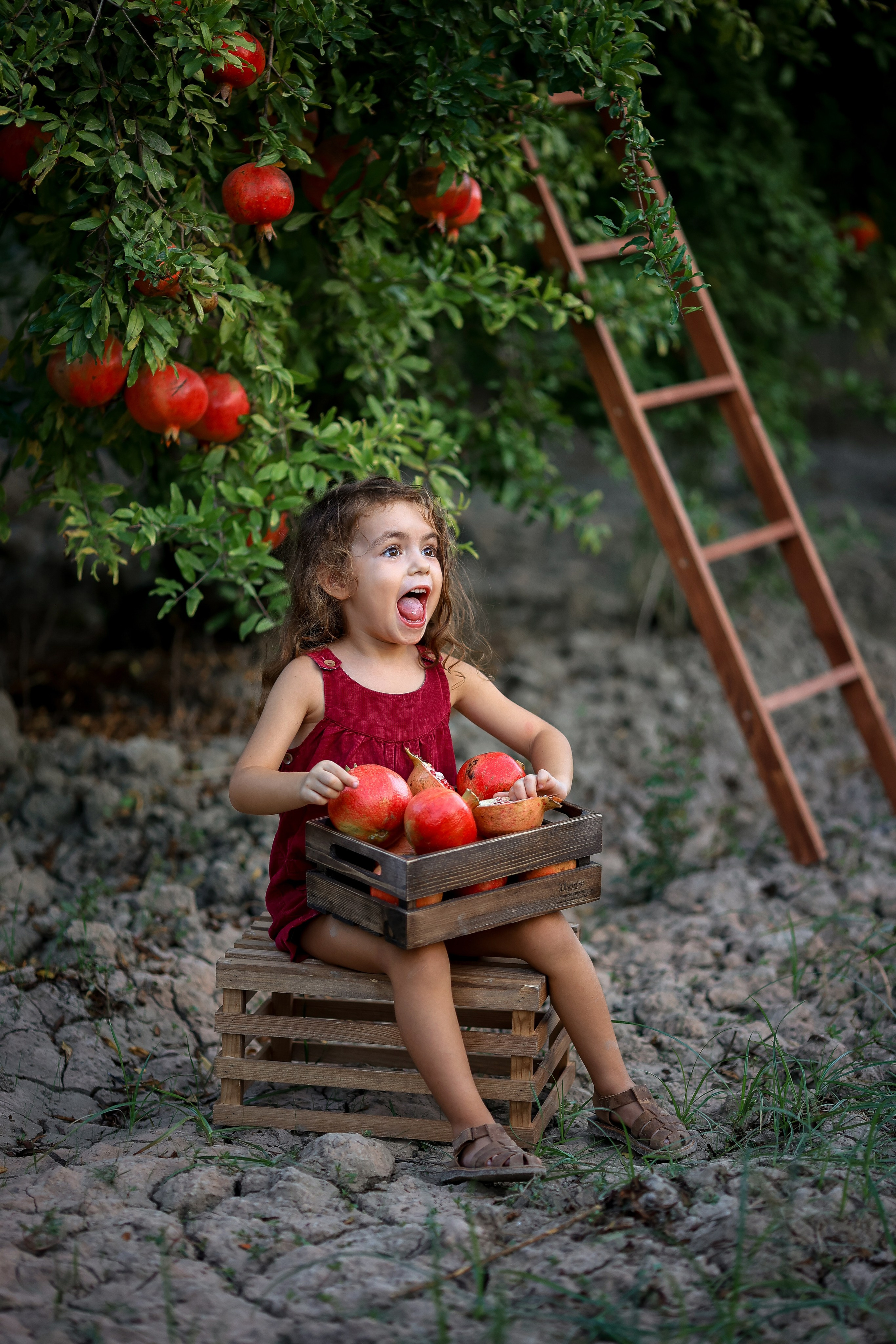 Photoshooting in pomegranate garden. Photographer in Turkey, Antalya, Kemer, Belek, Side, Kas, Fethiye