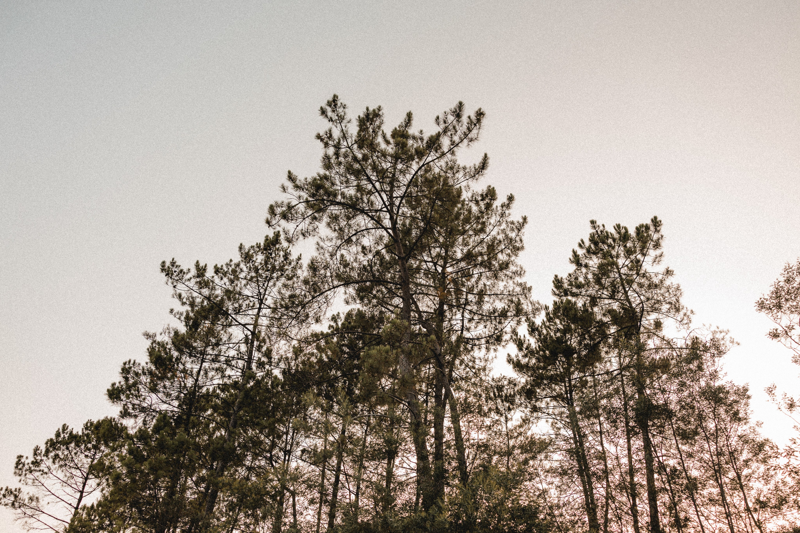 Love Session. Wedding and Family Photographer in Braga — Alexandra Mieres Fotografia