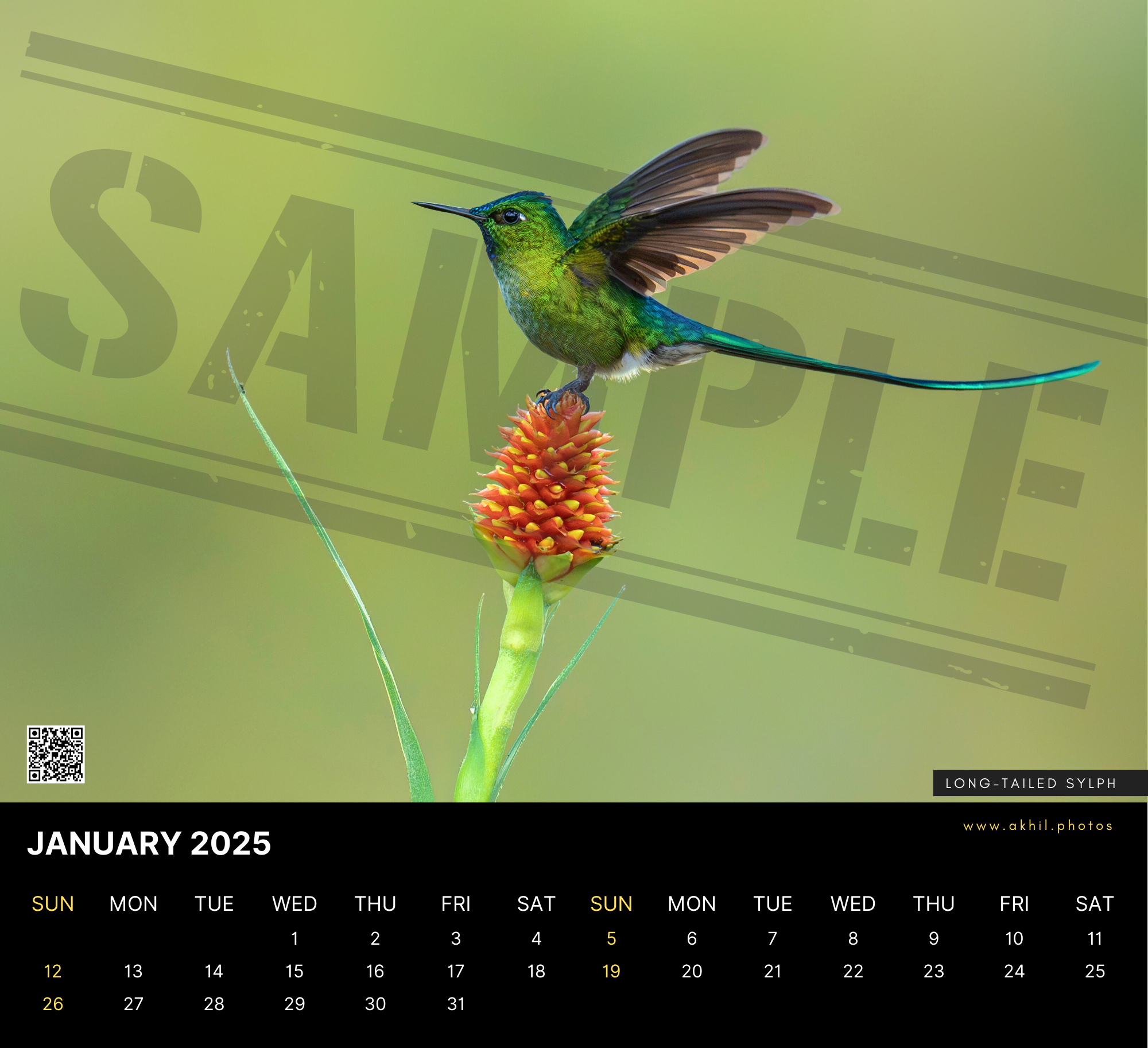 Shop. Akhil Vinayak Menon Photography