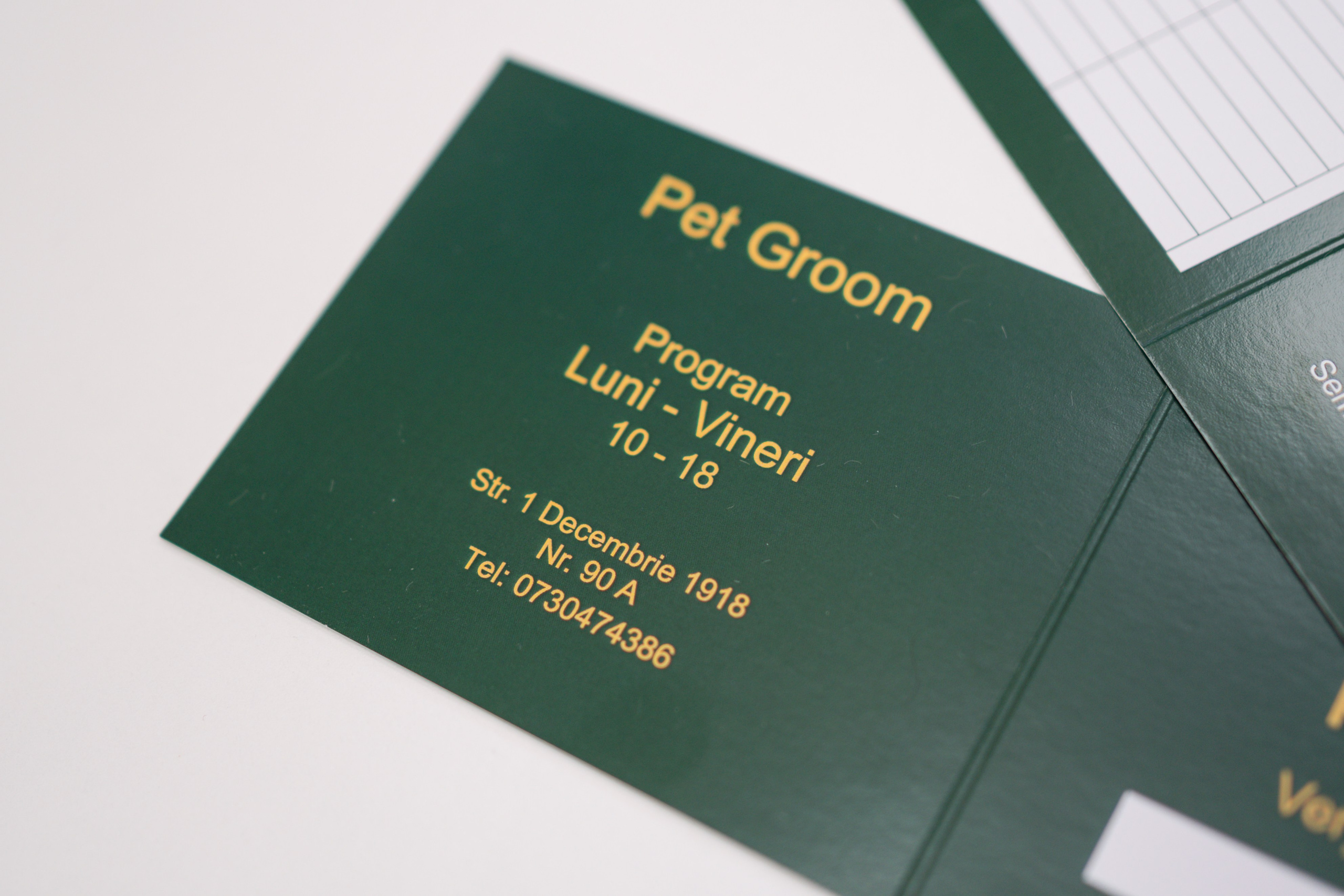 PetGroom Timisoara. Cozac Cristian Photographer