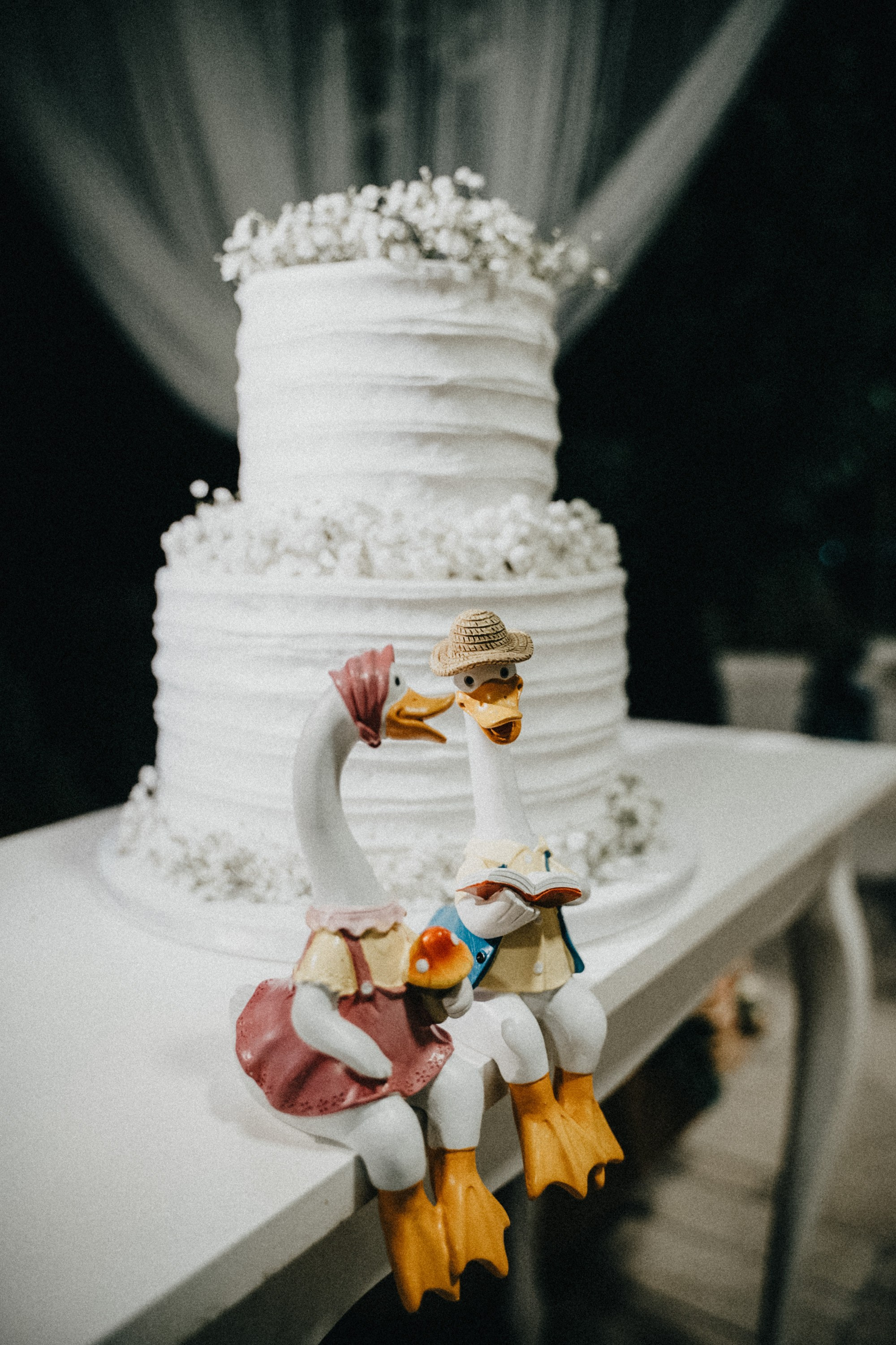 Wedding photography. Wedding photography