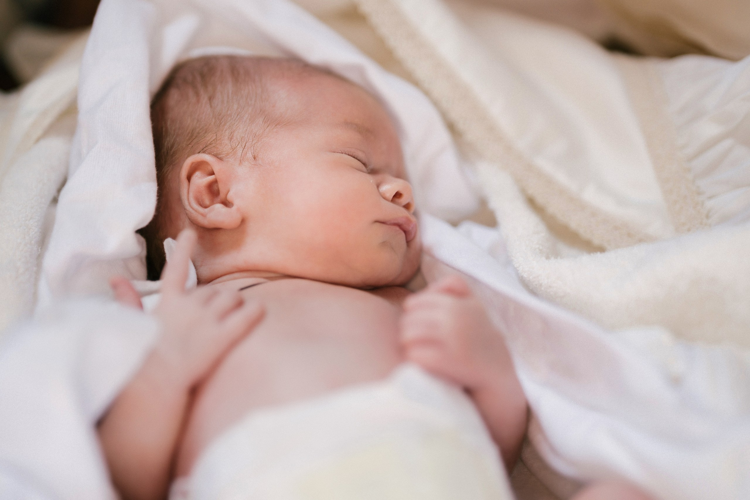 botez Luca Nectarie 22 februarie 2026 fotograf profesionist	•	fotograf botez Botoșani Luca Nectarie biserică	•	părinți Răzvan și Ramona botez copil emoții familie	•	nași Marin și Rodica botez copil fotografie profesională	•	detalii botez lumânare cristelniță biserică România	•	copil Luca Nectarie în brațe la botez moment emoționant	•	familie fericită la botez copil fotograf Alin Chirilă	•	fotografie botez naturală lumină caldă biserică	•	portret copil botez Luca Nectarie fotograf profesionist	•	momente autentice botez România familie și nași	•	slujbă botez copil imagini emoționante biserică	•	fotograf botez Iași și Botoșani Alin Chirilă - nunta--fotograf-profesionist-botosani  - fotografie-nunta-romantica - imagini-nunta-in-natura-alin-chirila-fotograf  - fotografii-cuplu-indragostit-nunta-botosani  - sedinta-foto-miri-andrei-iustina-alinofotostudio  - amintiri-din-nunta-realizate-de-fotograf-profesionist  - povestea-nuntii-andrei-si-iustina-in-imagini-alinofotostudio-fotograf evenimente- evenimente Botoșani -fotograf Suceava - fotograf Iași- servicii foto. servicii foto Botoșani. servicii foto video Botoșani. otograf-nunta-botosani-fotograf nunta. fotograf evenimente. fotograf nunta Botoșani. Alin chirila. Alin chirila fotograf. Alinofotostudio.- servicii foto. servicii foto Botoșani. servicii foto video Botoșani. fotograf nunta. fotograf evenimente. fotograf nunta Botoșani. Alin chirila. Alin chirila fotograf. Alinofotostudio.fotograf stare civilă,poze stare civilă,album foto stare civilă,servicii foto suceava,fotograf evenimente suceava,fotograf nuntă suceava,poze cununie civilă,ședință foto stare civilă,sesiune foto suceava,fotograf profesionist suceava,fotograf botosani,stare civila botosani,alinofotostudio,alin chirila fotograf.servicii foto. servicii foto Botoșani. servicii foto video Botoșani. fotograf nunta. fotograf evenimente. fotograf nunta Botoșani. Alin chirila. Alin chirila fotograf. Alinofotostudio.fotograf stare civilă,poze stare civilă,album foto stare civilă,servicii foto suceava,fotograf evenimente suceava,fotograf nuntă suceava,poze cununie civilă,ședință foto stare civilă,sesiune foto suceava,fotograf profesionist suceava,fotograf botosani,stare civila povestitor prin fotografiebotosani,alinofotostudio,alin chirila fotograf,servicii foto. servicii foto Botoșani. servicii foto video Botoșani. fotograf nunta. fotograf evenimente. fotograf nunta Botoșani. Alin chirila. Alin chirila fotograf. Alinofotostudio.fotograf stare civilă,poze stare civilă,album foto stare civilă,servicii foto suceava,fotograf evenimente suceava,fotograf nuntă suceava,poze cununie civilă,ședință foto stare civilă,sesiune foto suceava,fotograf profesionist suceava,fotograf botosani,stare civila botosani,alinofotostudio,alin chirila fotograf,cununie religioasă botoșani,andreea și neculai,capela militară botoșani,foto conacul zăicești,fotograf nuntă botoșani,fotograf cununie religioasă,foto evenimente botoșani,poze cununie capela militară,ședință foto zăicești,fotograf profesionist botoșaniMire și mireasă – Sergiu & Liliana – ziua nunții, 2024  - Emoții în ziua nunții – Sergiu și Liliana  - Dansul mirilor – fotografie artistică nuntă 2024  - Sedinta foto romantică în natură – Sergiu & Liliana  - Rochia de mireasă și detalii de nuntă elegan-Album de cununie civilă Florin și Anda – Fotografii profesionale realizate de Alin Chirilă în Botoșani -fotograf prin fotografie-Ședință foto Trash the Dress pe muntele Rarău cu Iulian și Iuliana – fotografie de cuplu, natură montană, emoție autentică surprinsă de Alin Chirilă, povestitor prin fotografie.- "Iulian și Iuliana pe crestele Rarăului – fotografie Trash the Dress în natură"  - "Cuplu îmbrățișat la apus pe muntele Rarău – ședință foto după nuntă"  - "Rochie de mireasă în vânt pe munte – Trash the Dress Rarău-1. Iulian și Iuliana pe muntele Rarău – ședință foto Trash the Dress în natură, cu peisaj montan spectaculos  2. Cuplu în îmbrățișare pe Rarău – emoție autentică surprinsă după nuntă  3. Rochie de mireasă în bătaia vântului – fotografie artistică Trash the Dress în munți  4. Mire și mireasă privind spre orizont – dragoste și libertate pe muntele Rarău  5. Iuliana zâmbind în rochia de mireasă – portret în natură, Trash the Dress  6. Iulian ținându-și mireasa de mână – ședință foto romantică pe munte  7. Detaliu cu rochia pe stâncă – estetică naturală Trash the Dress Rarău  8. Cuplu în mers pe poteca Rarăului – fotografie simbolică de după nuntă  9. Apus de soare pe Rarău în spatele mirilor – imagine de poveste Trash the Dress  10. Iulian și Iuliana râzând împreună – momente autentice surprinse de Alin Chirilă, povestitor prin fotografie-fotograf-nunta-cerbu-botosan trash-the-dress-botosani Alin Chirilă Fotograf – fotograf de nuntă Botoșani-fotograf nuntă Botoșani-fotograf nuntă Cerbu Botoșani-fotograf profesionist nuntă Botoșani-fotografie de nuntă Botoșani-fotograf evenimente Botoșani-fotograf nuntă Moldova-fotograf trash the dress Botoșani	- fotograf pregătirea mirilor Botoșani	-fotograf ceremonie religioasă nuntă-fotograf petrecere nuntă Botoșani- fotograf nuntă Botoșani pregătirea mirelui- pregătirea mirelui fotografie nuntă Cerbu Botoșani-fotograf nuntă Botoșani pregătirea miresei -mireasă pregătiri nuntă Cerbu Botoșani-fotograf nuntă Botoșani nașii mirilor-ceremonie religioasă nuntă Cerbu Botoșani-fotograf nuntă Botoșani ceremonie religioasă biserică-petrecere nuntă Cerbu Botoșani invitați dans-fotograf nuntă Botoșani petrecere restaurant-ședință foto trash the dress-fotograf trash the dress Botoșani ședință foto după nuntă-Fotograf nuntă Botoșani – galerie foto reală de la evenimente stare civilă Sebi și Claudia Copălău	•	cununie civilă Primăria Copălău Botoșani	•	miri emoționați la starea civilă	•	semnarea actelor cununie civilă	•	fotografii naturale stare civilă Botoșani	•	familie și prieteni la cununie civilă	•	cadre emoționale cununie civilă	•	fotograf profesionist Botoșani eveniment stare civilă Sebi și Claudia la Primăria Copălău Botoșani fotograf evenimente	•	fotograf cununie civilă Copălău Botoșani cadre naturale și emoționale	•	fotograf profesionist Botoșani stare civilă Sebi și Claudia	•	momente autentice cununie civilă Copălău fotograf Alin Chirilă	•	fotografii emoționale stare civilă în județul Botoșani