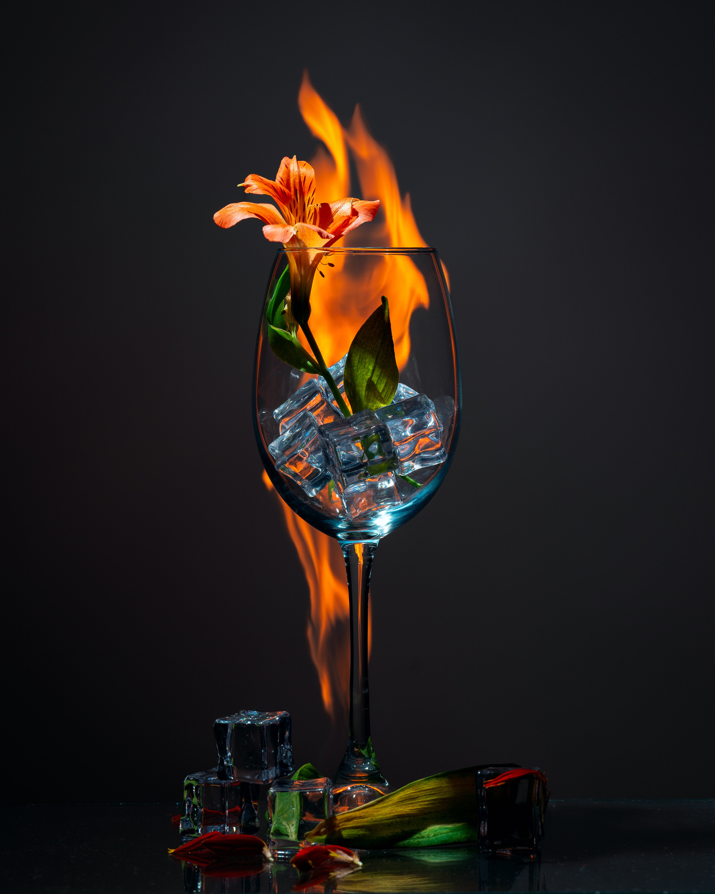 Предметка. Фотограф Григорий Кравец