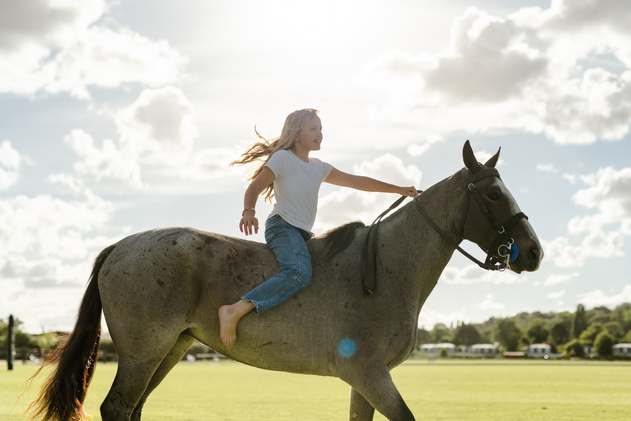 Photo shoot with horses