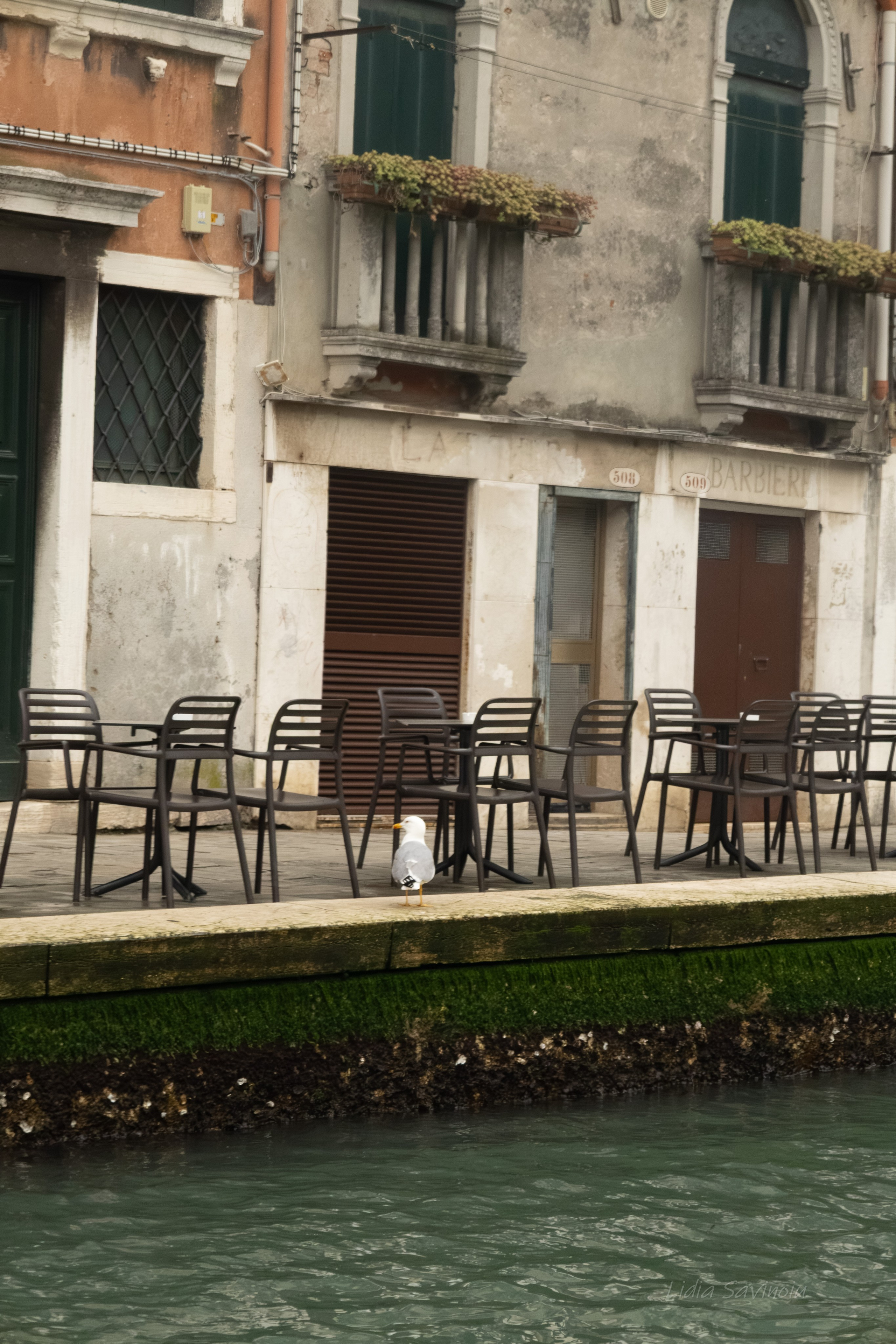 Veneția. Fotograf. Lucrez cu oameni, produse și spații. Portret și fotografie creativă. Bacău, România. Lidia Savinoiu