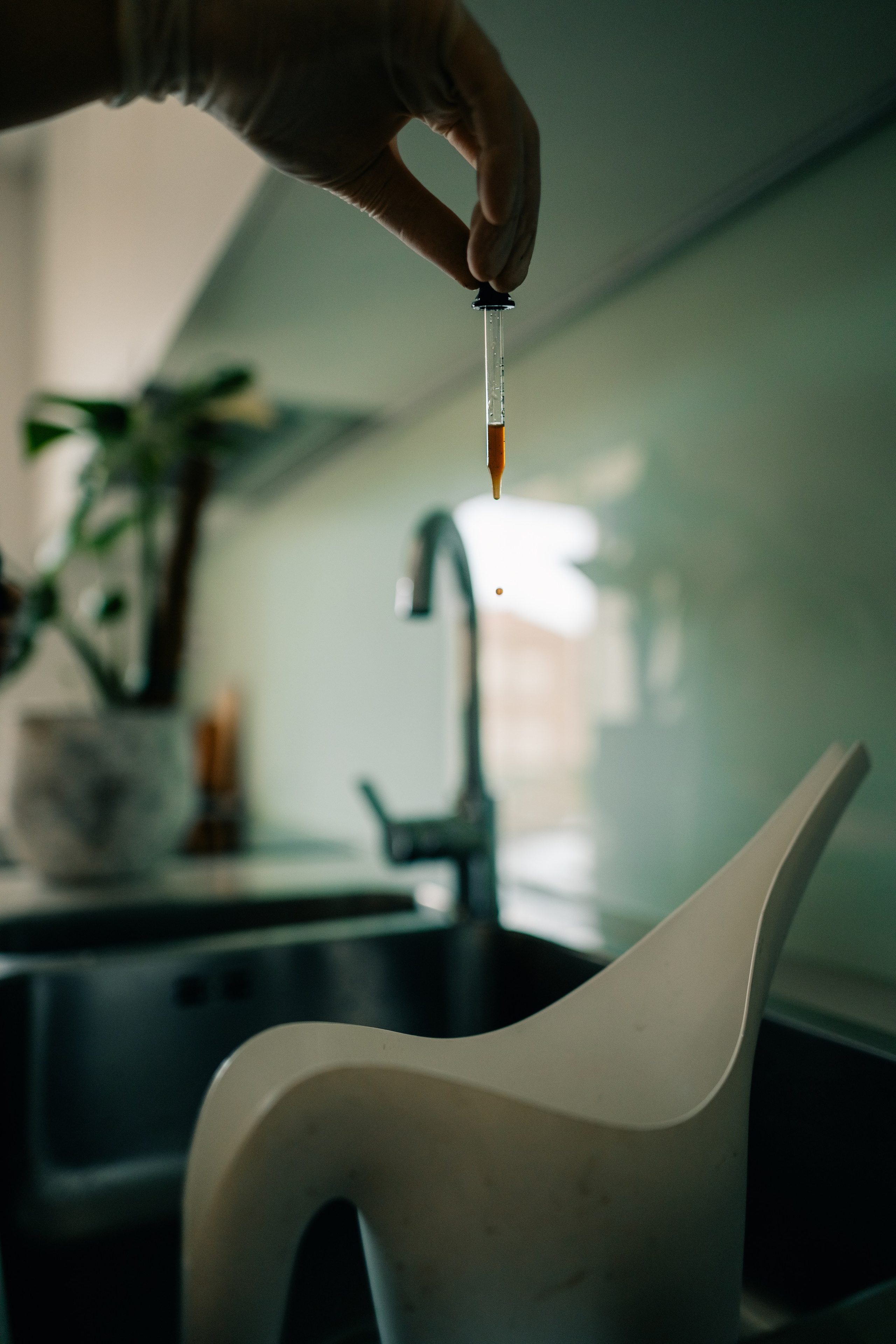 No Drama Plants. Maria Sher. Fotógrafa profissional do Porto, Portugal