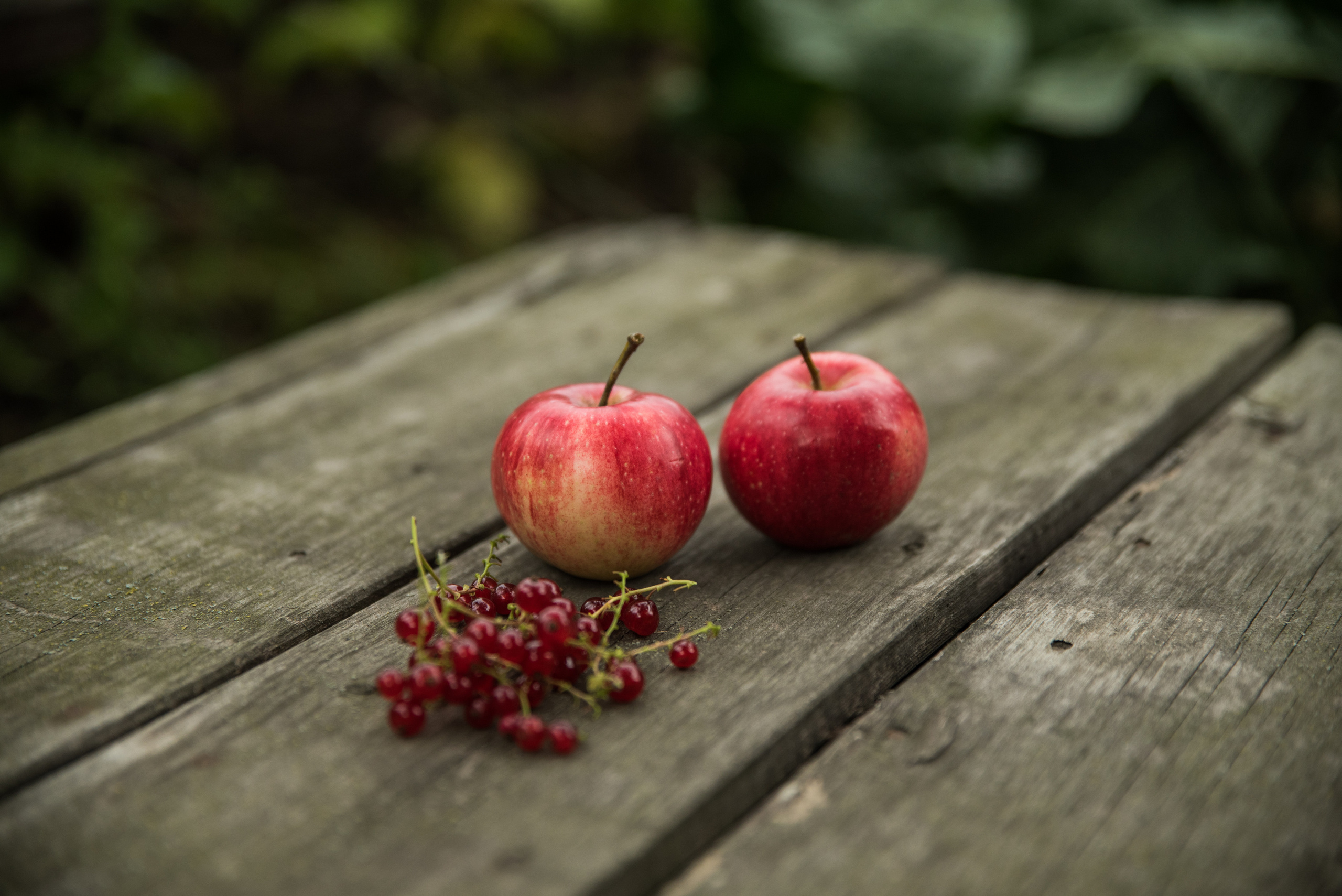 Родители. Ekaterina Verbitskaya. Photography