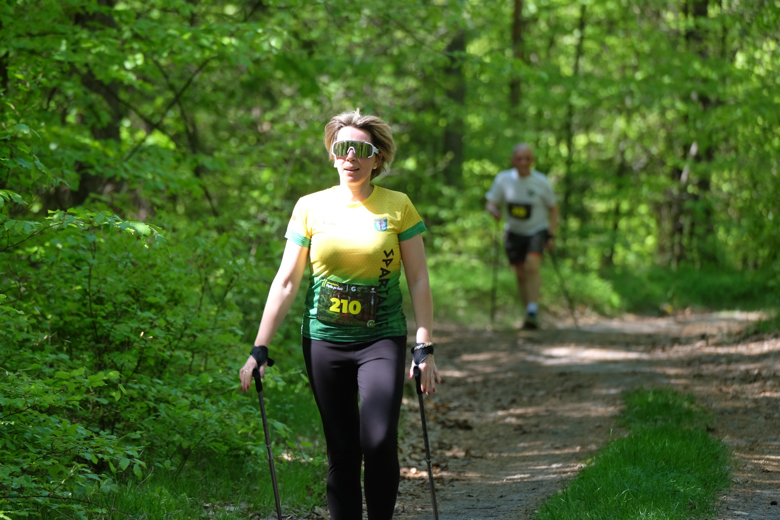 Aleksandryjska Piątka po lesie. Main