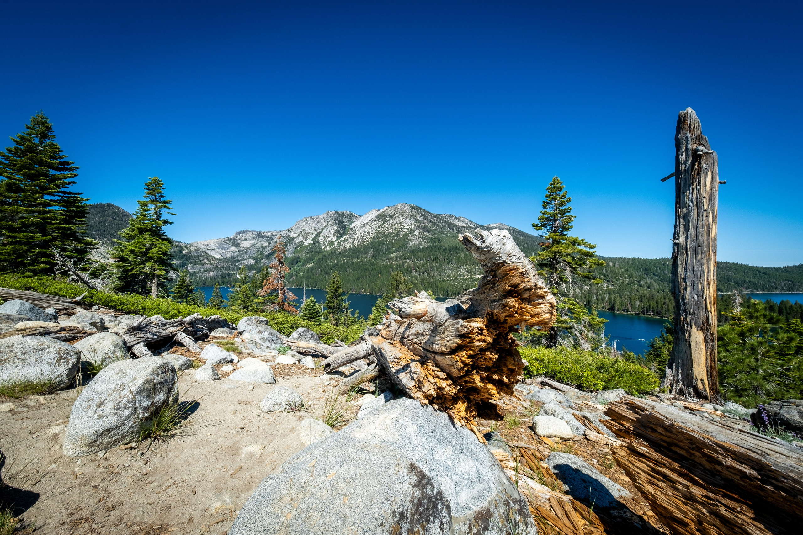 TAHOE. Reportage concert portrait photography in the San Francisco Bay Area