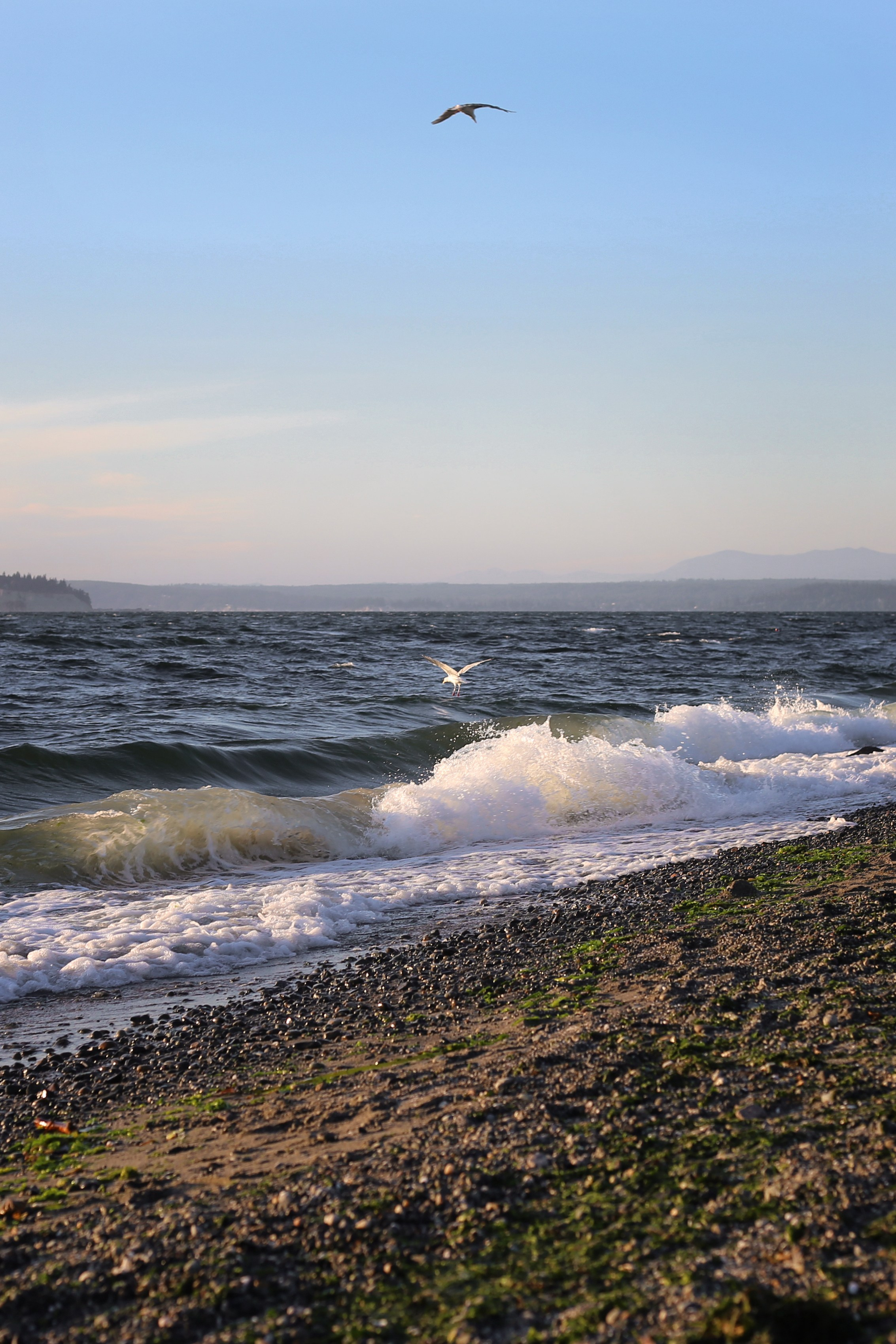 Wedding. YuAnna studio. Family & Kids Photographer in Seattle area, located in