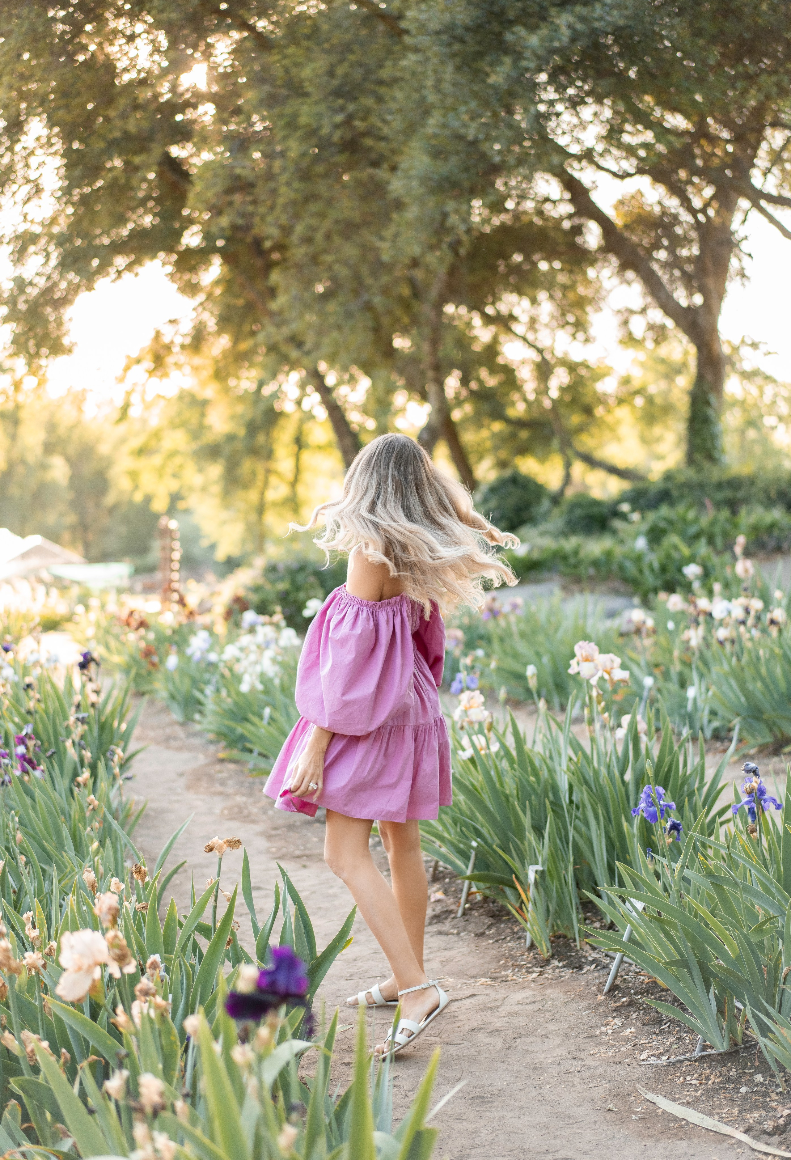 Beshta family. Family photographer in Sacramento | Sofia Pavenko