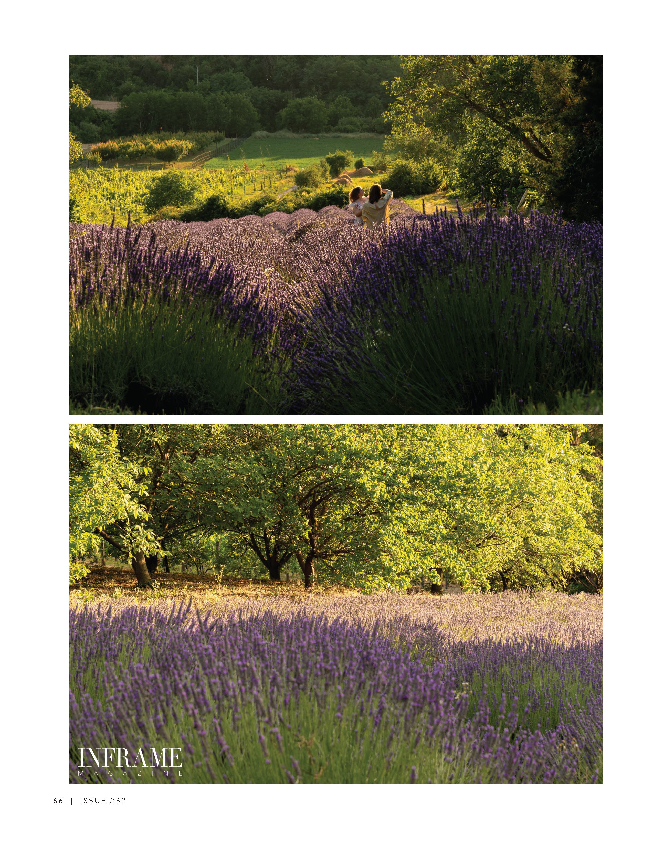 Lavender Light — fashion editorial with summer elegance. Victoria Fedoseenko. Photographer from Serbia
