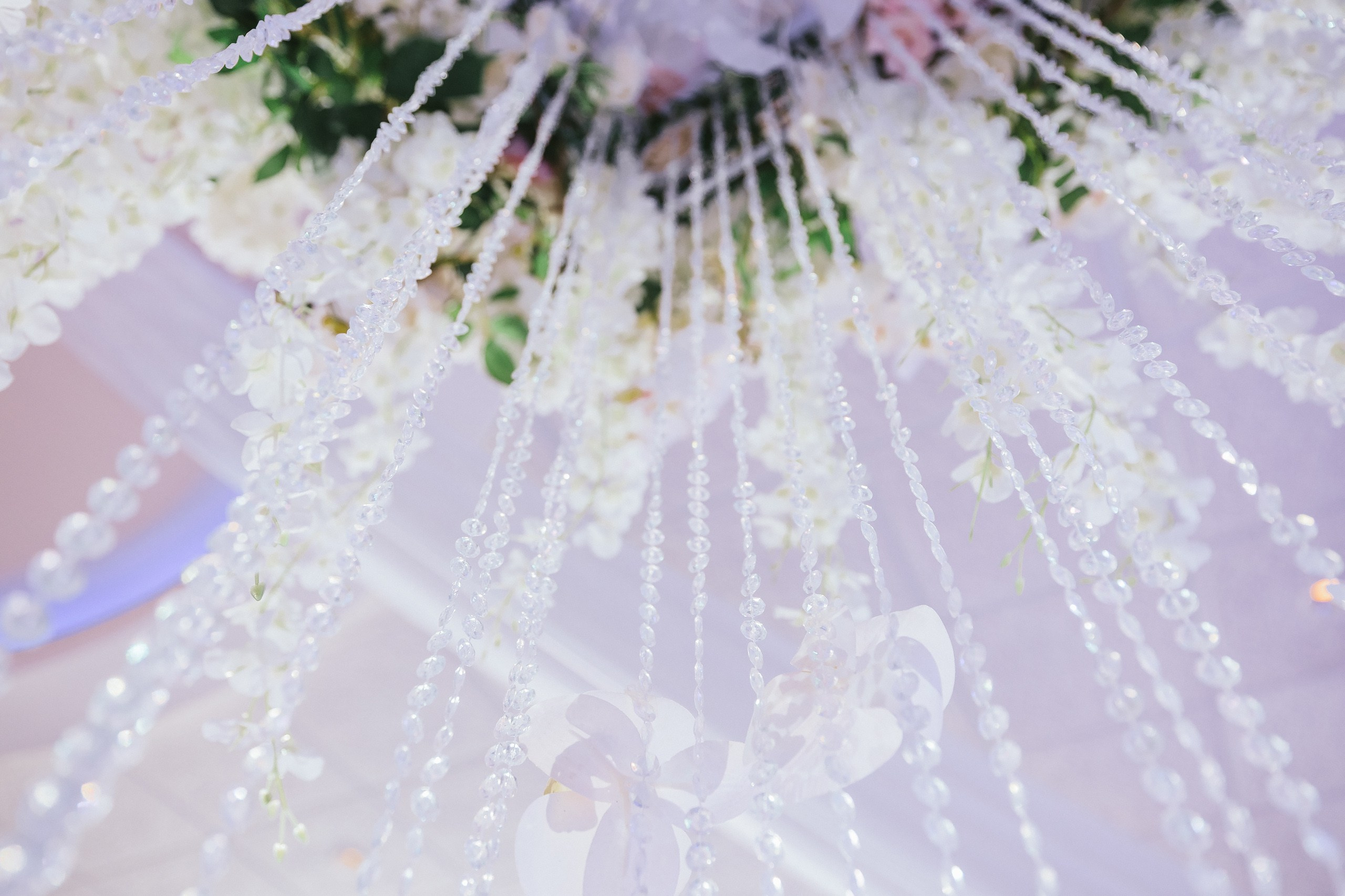 06.08.2025 Wedding. Wedding family event photographer in Chicago Nick Yushevich