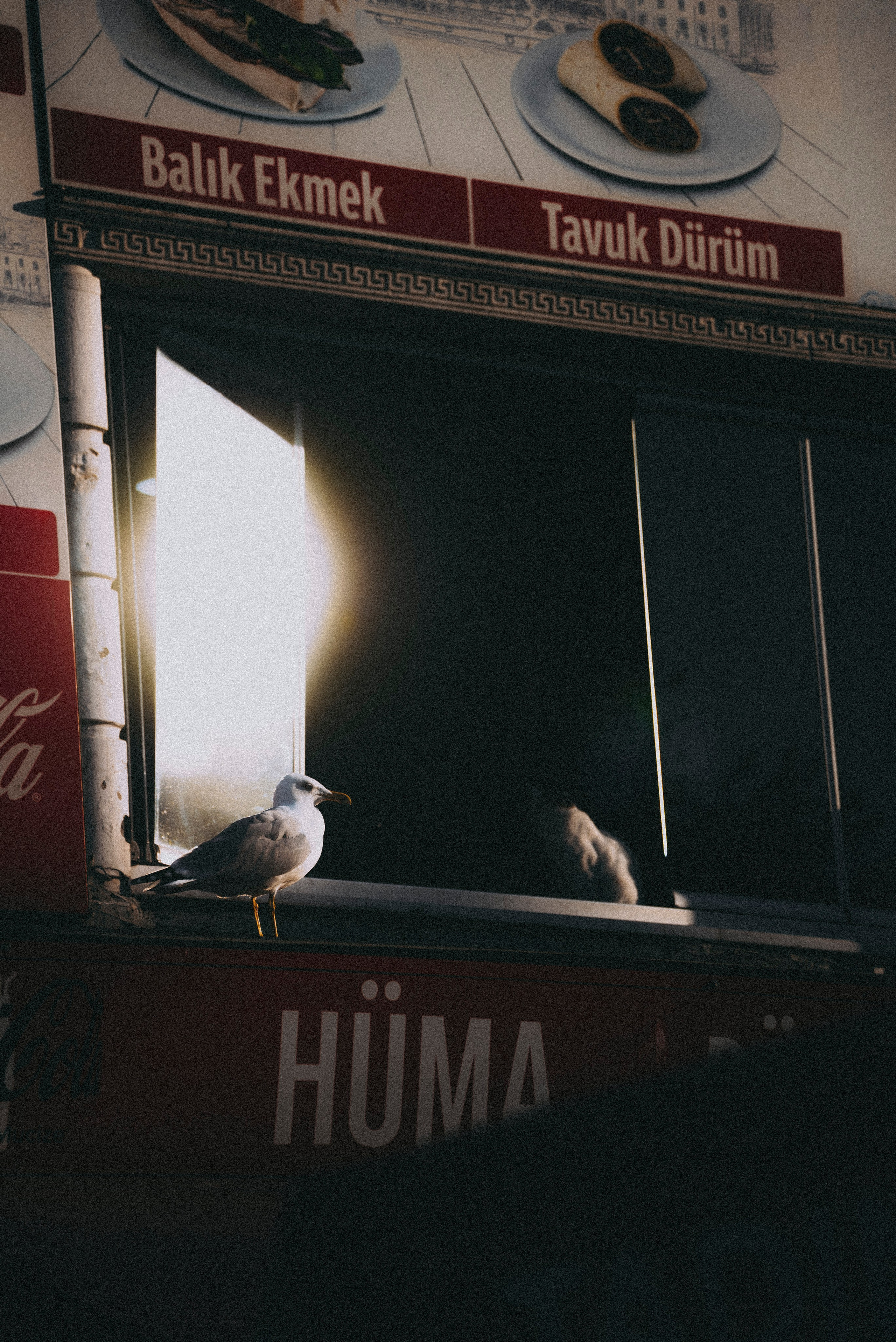 СТАМБУЛ. Стрит-фотография, полная абсурда, идиотизма и красоты