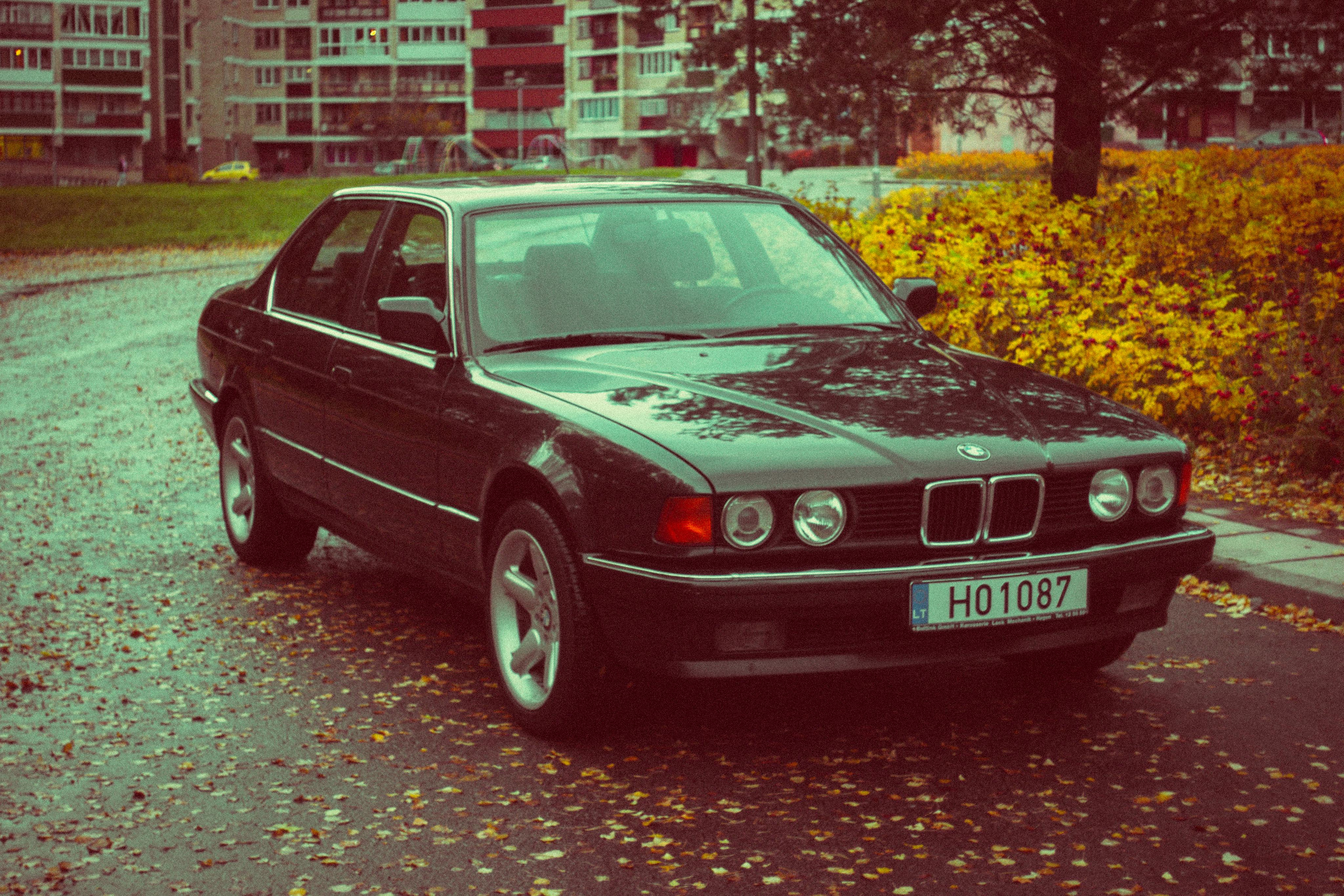 Ana. Fotografė Aleksandra Samozvanova