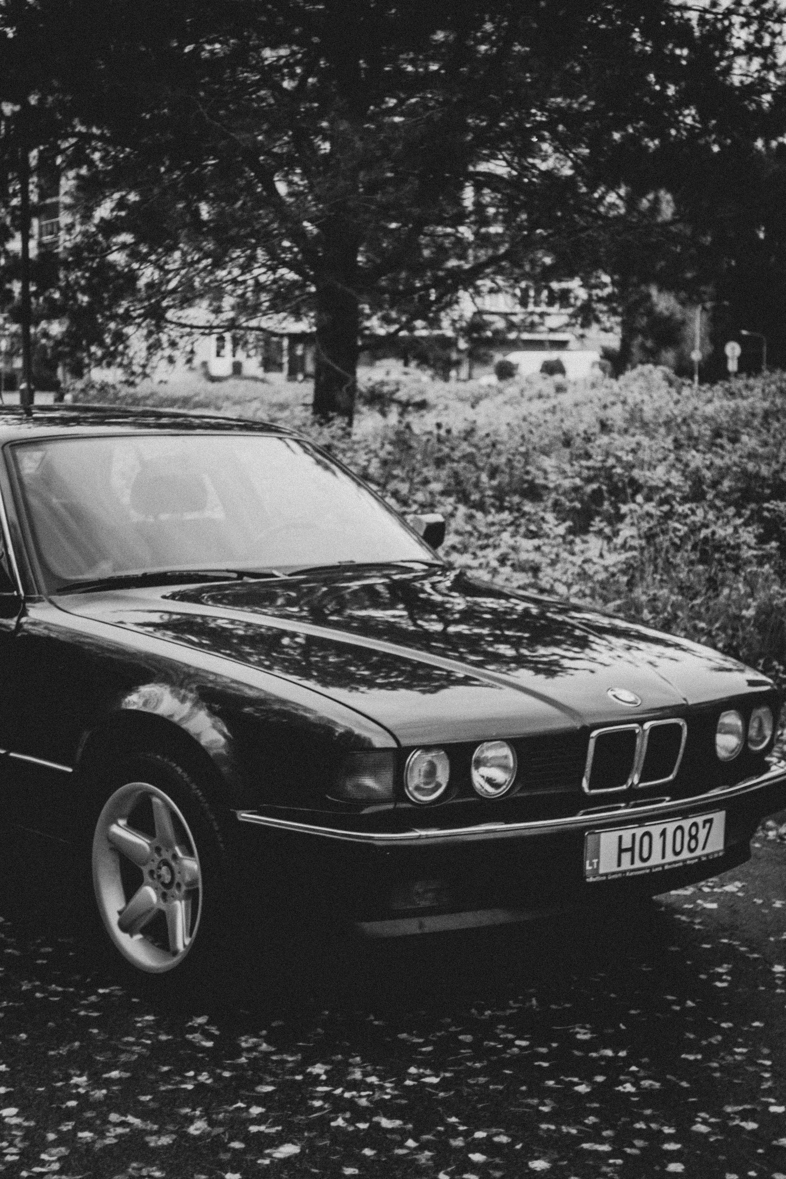 Ana. Fotografė Aleksandra Samozvanova