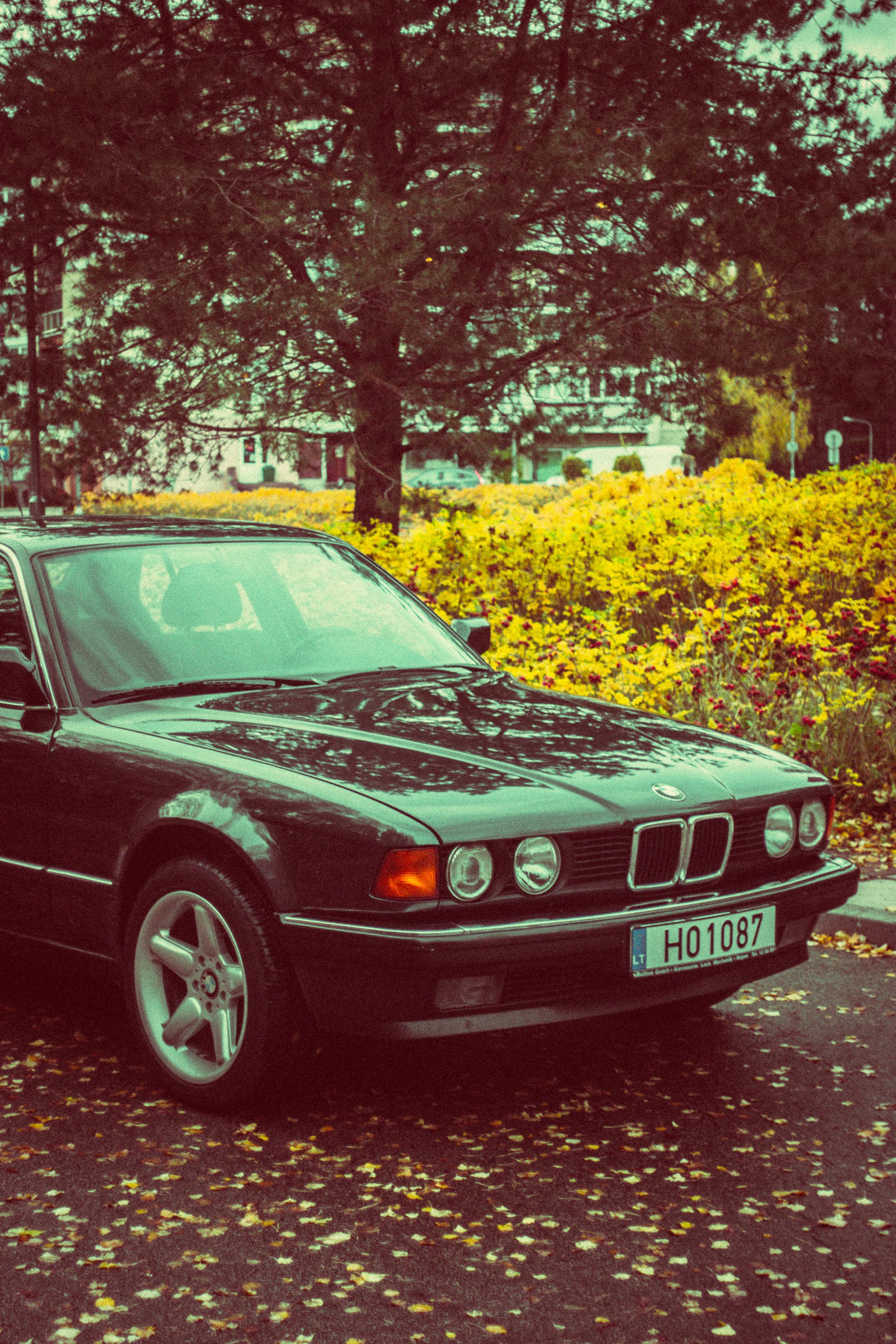 Ana. Fotografė Aleksandra Samozvanova