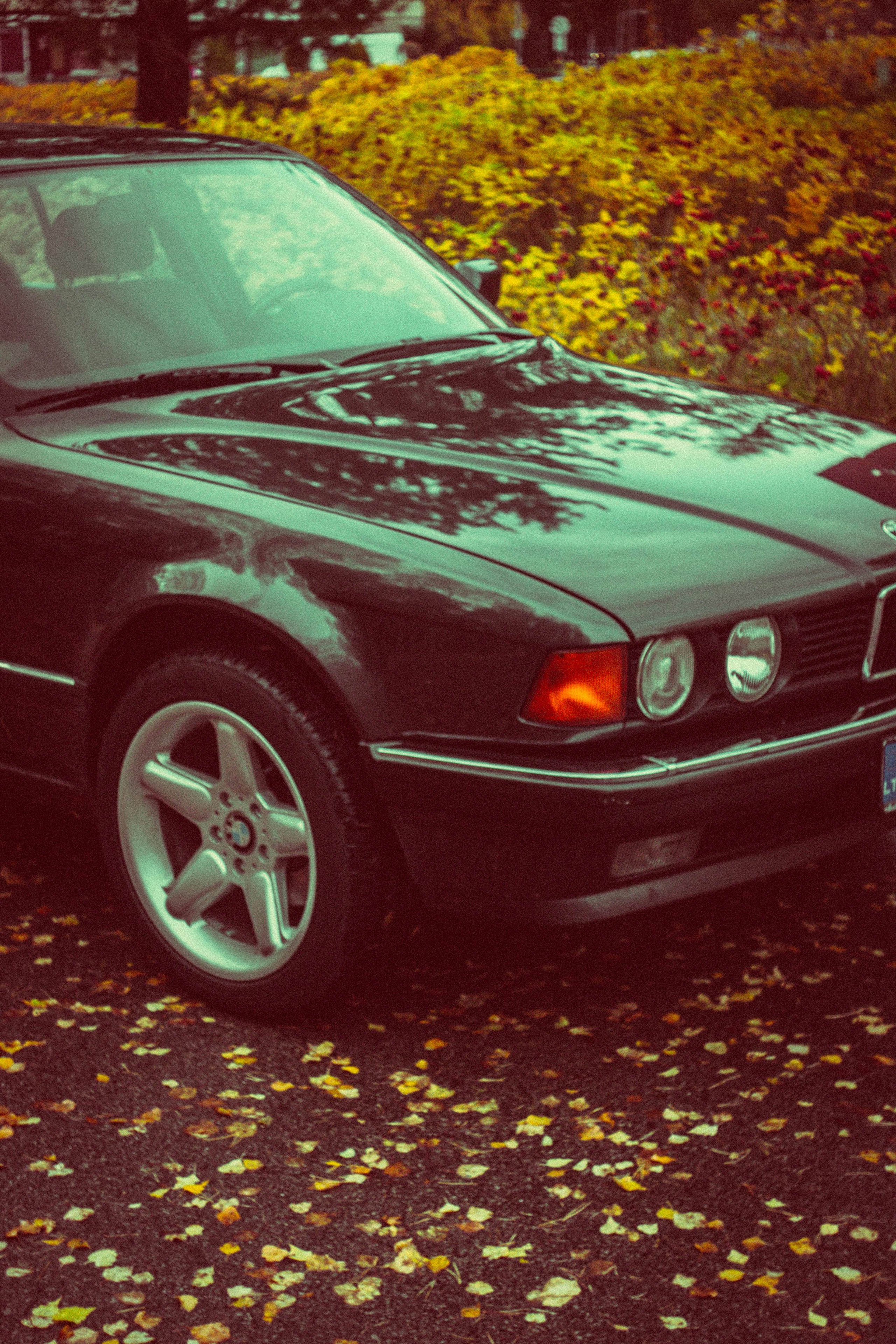 Ana. Fotografė Aleksandra Samozvanova