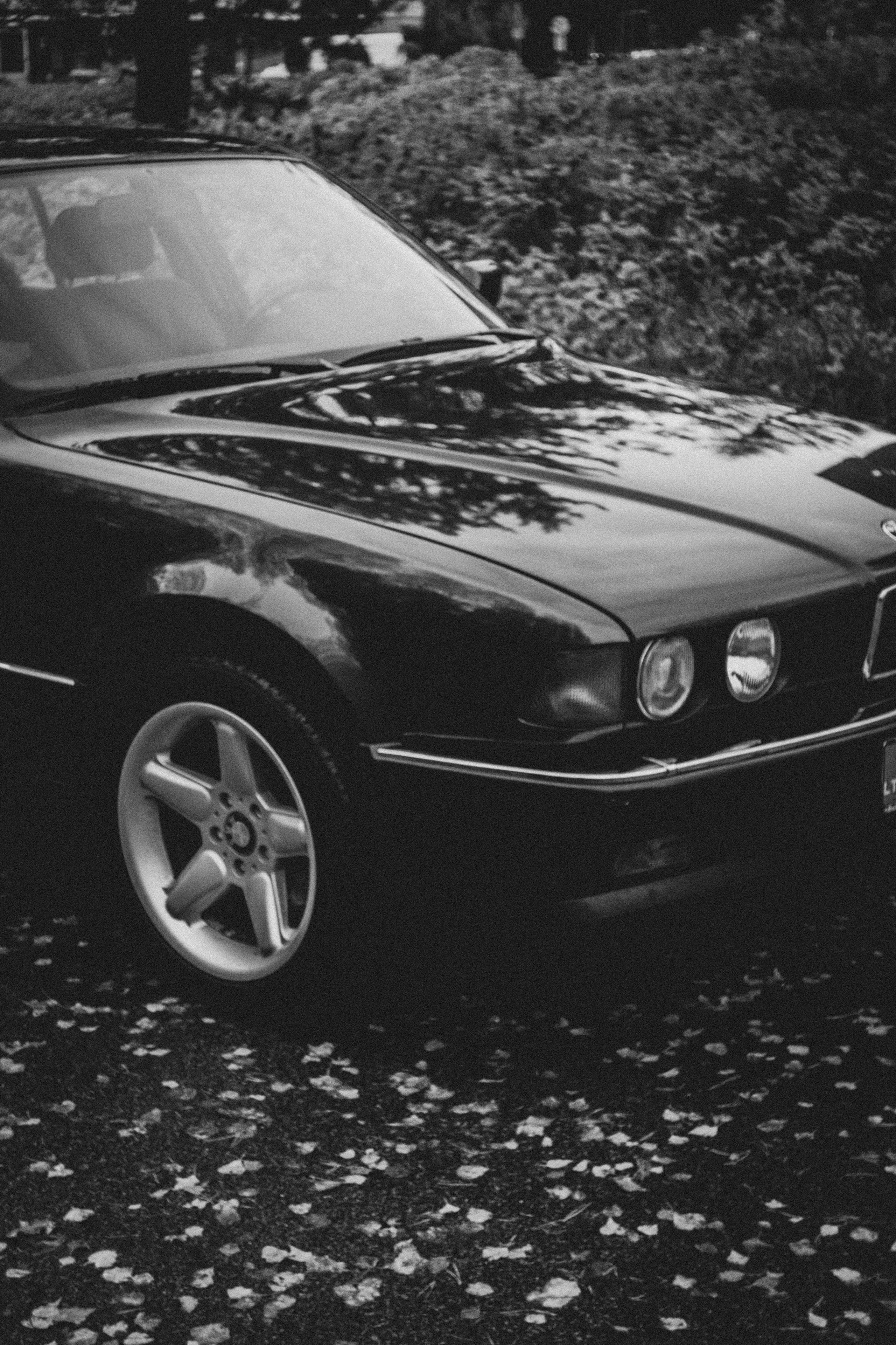 Ana. Fotografė Aleksandra Samozvanova