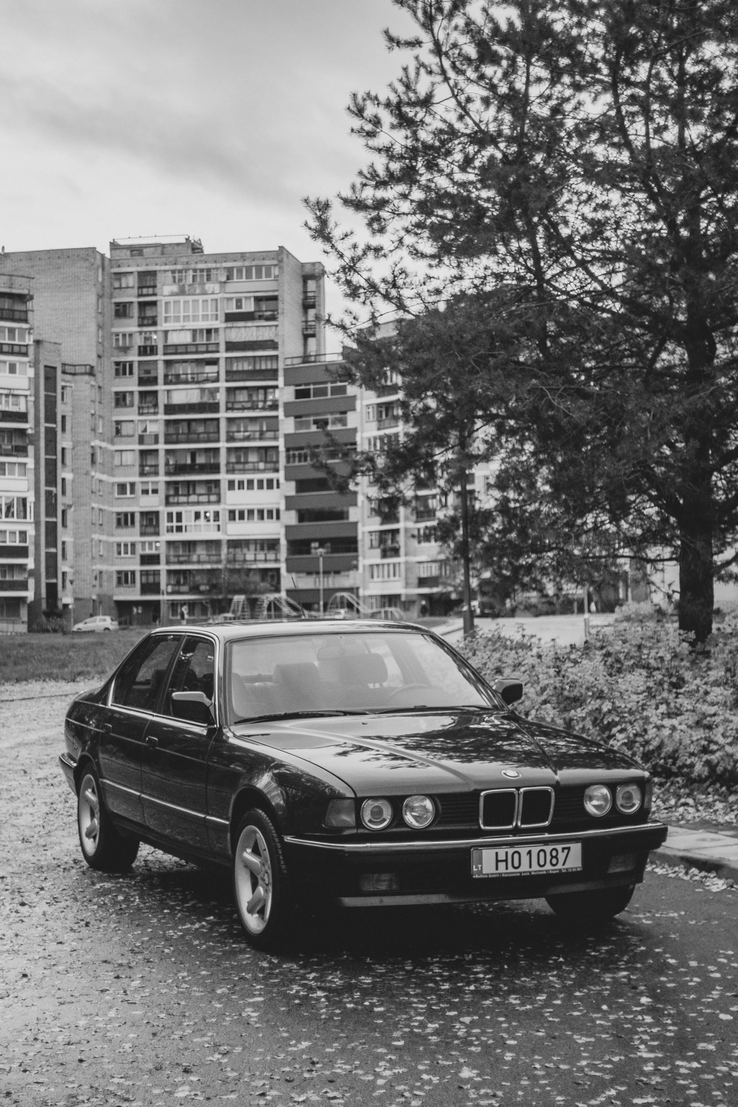 Ana. Fotografė Aleksandra Samozvanova