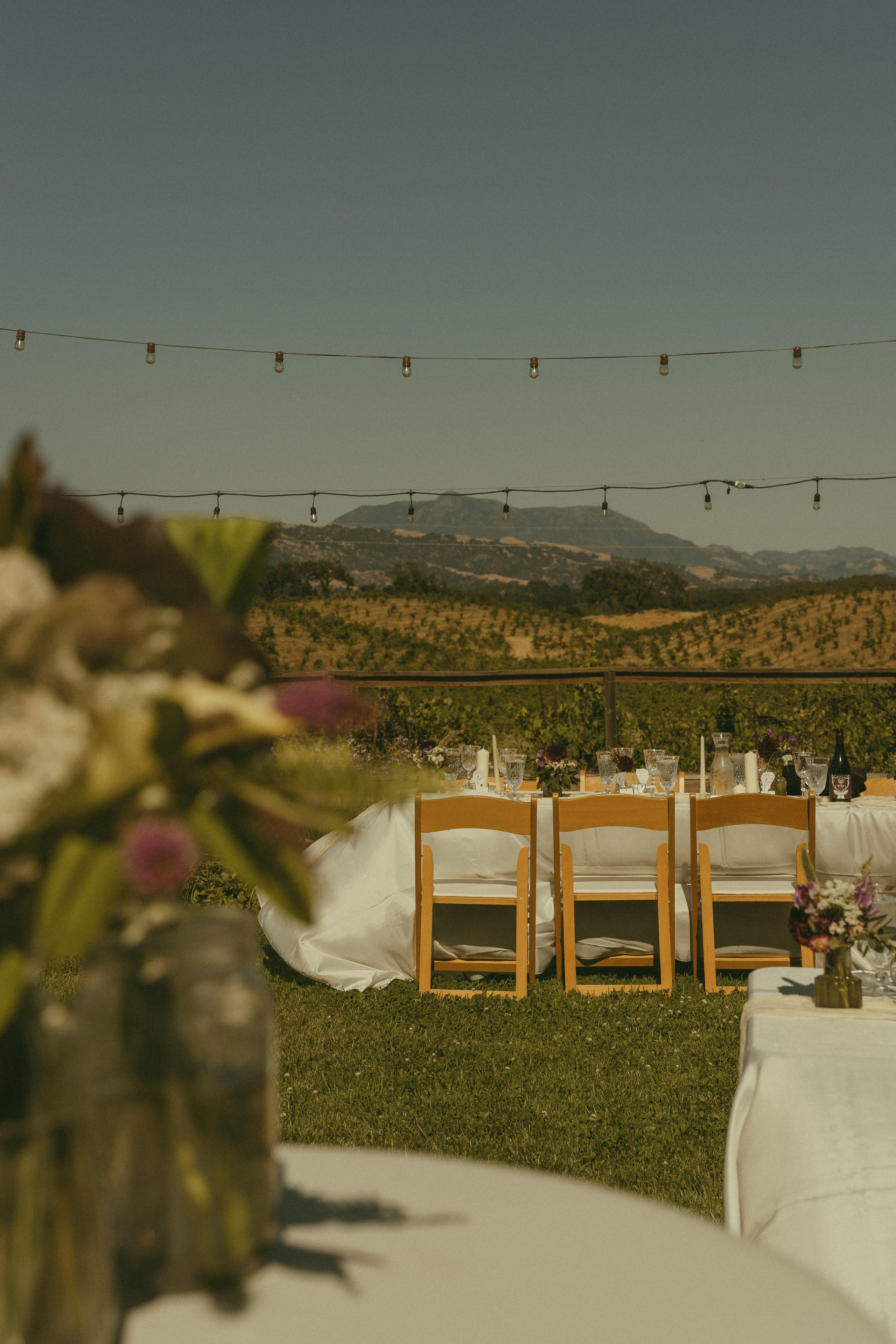 Wedding | San Francisco. San Francisco Wedding & Elopement Photographeк | photography_of.nadia