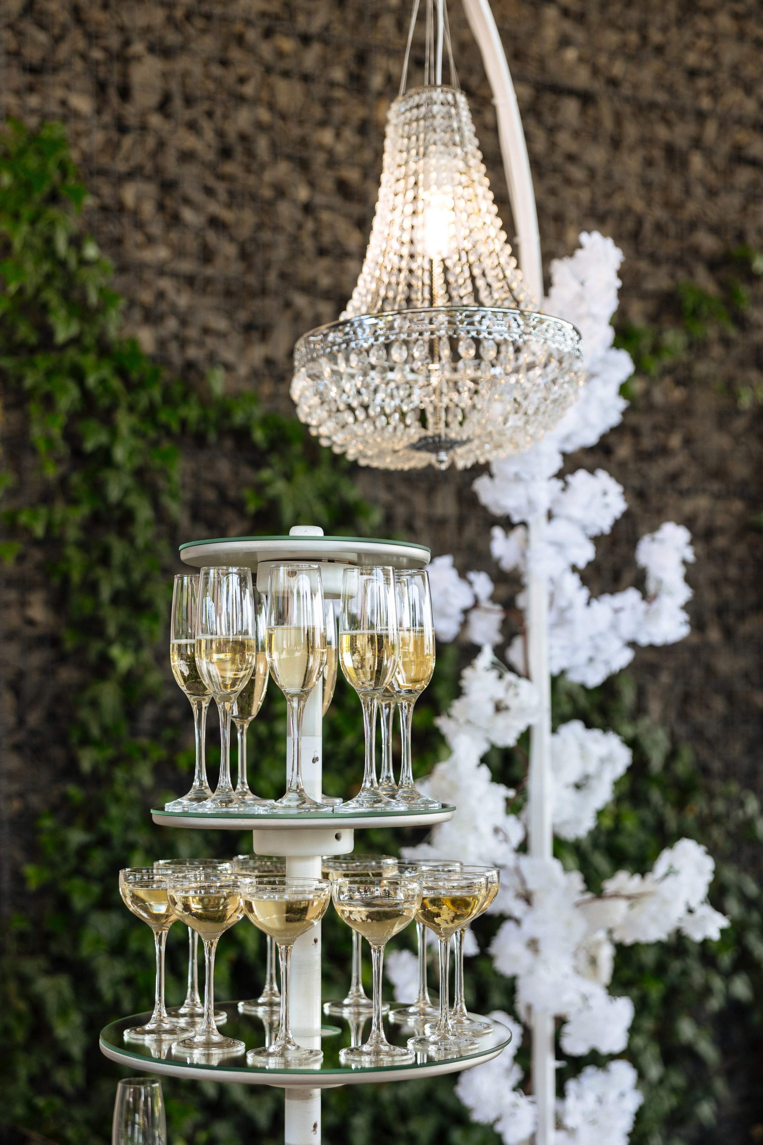 Diana Vlad. Ірина Терещук