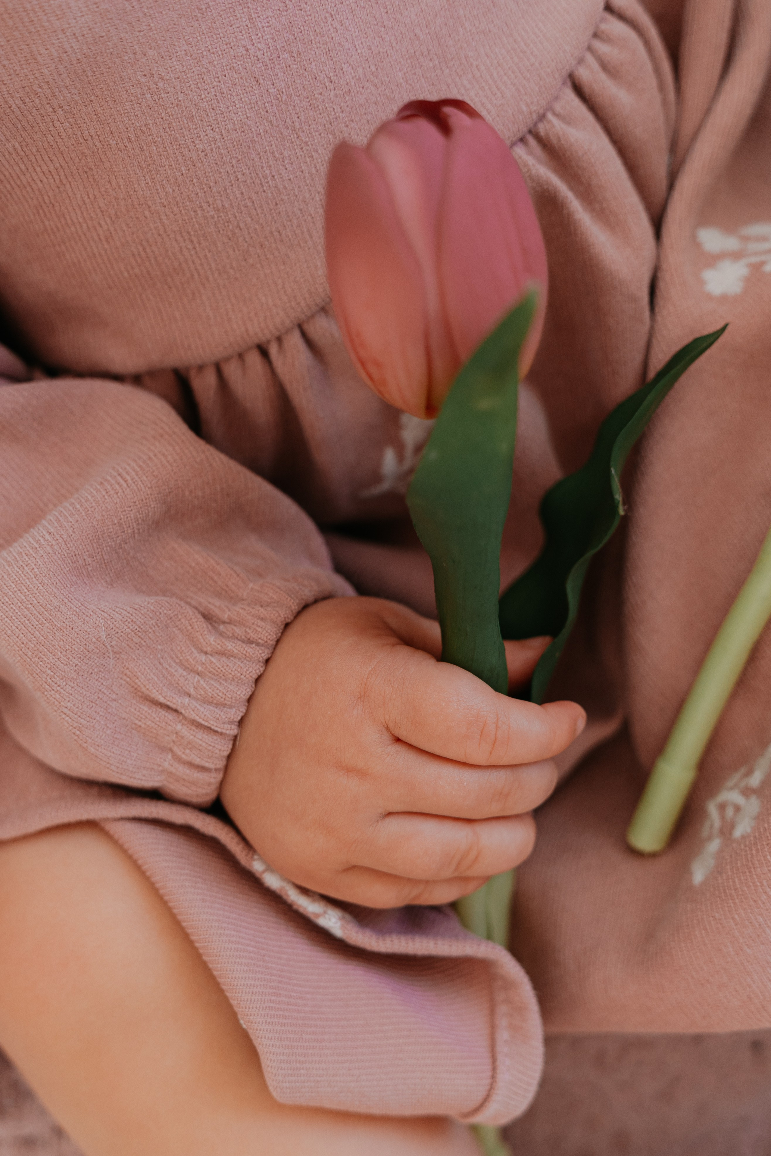 SPRING SESSION. Ars Vidi | Digital Solutions