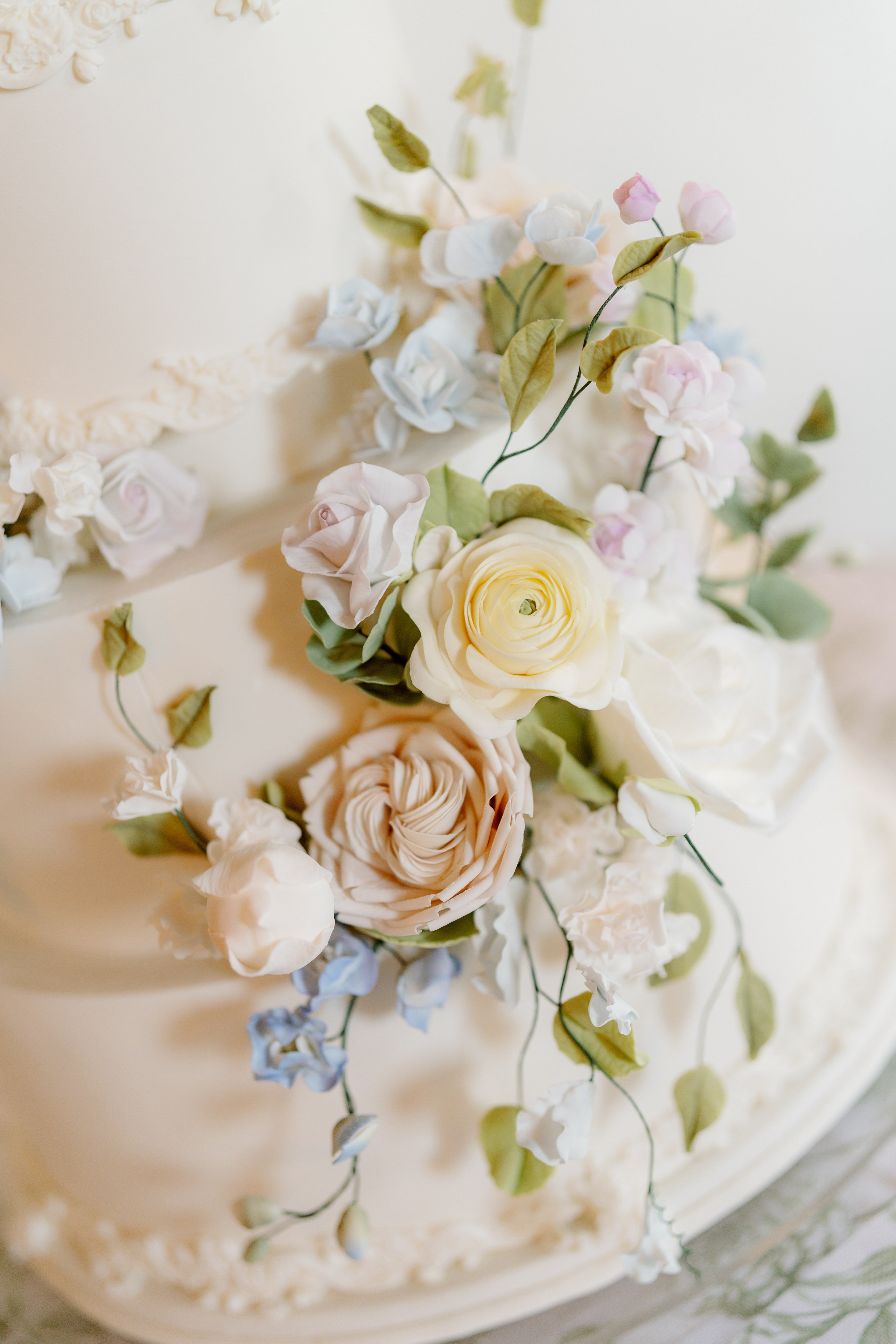 Caitlin and William. Wedding photographer and videographer New York | New Jersey