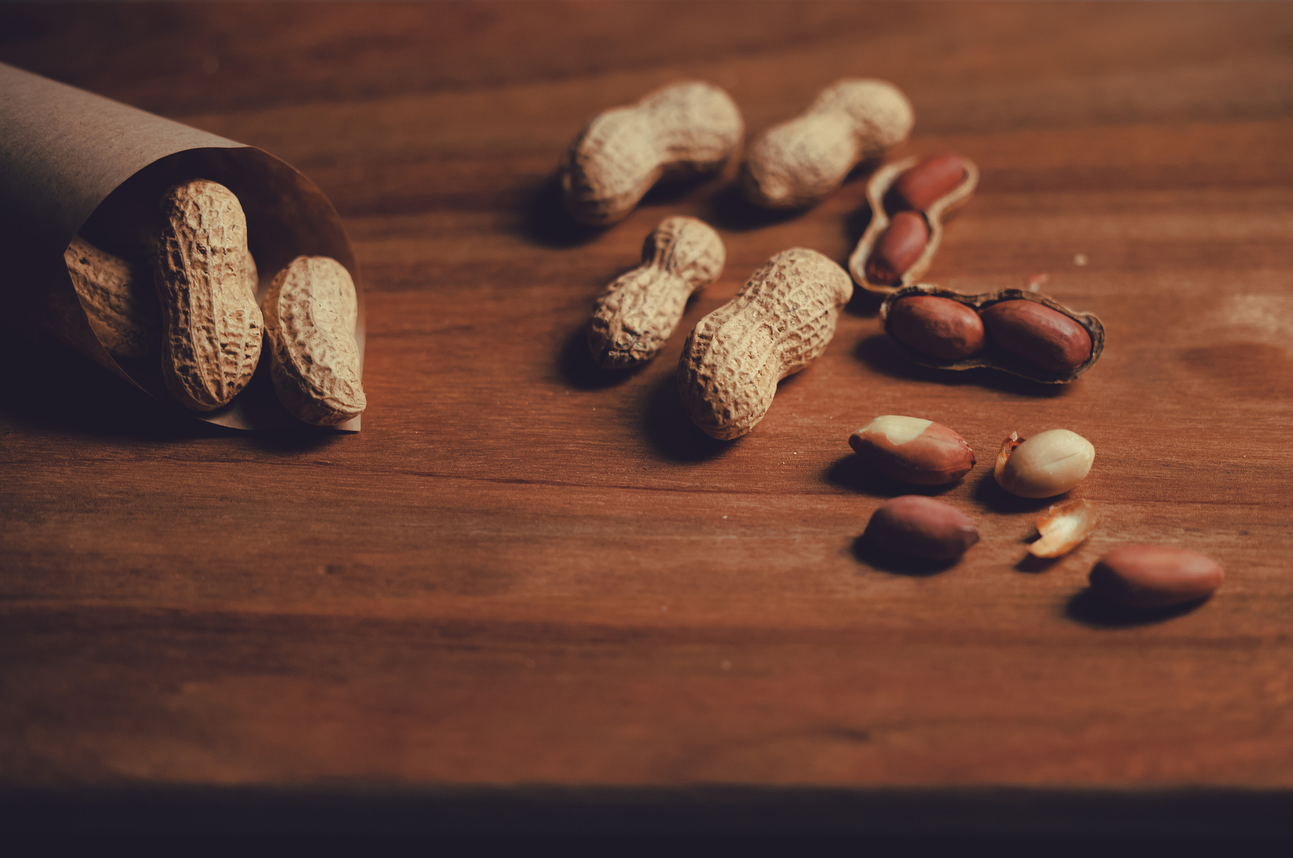 Product Photography. Xamilc Photo