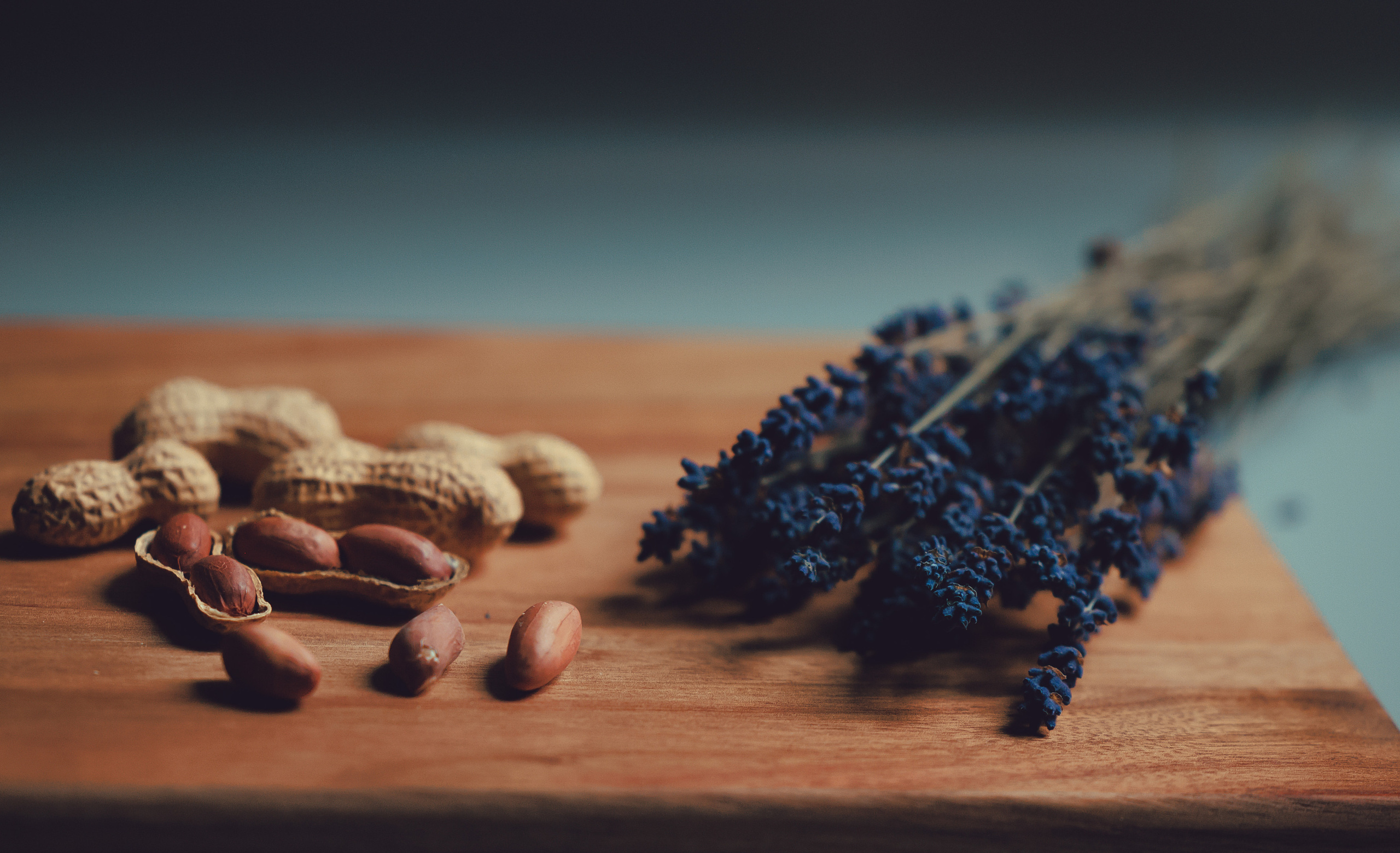 Product Photography. Xamilc Photo