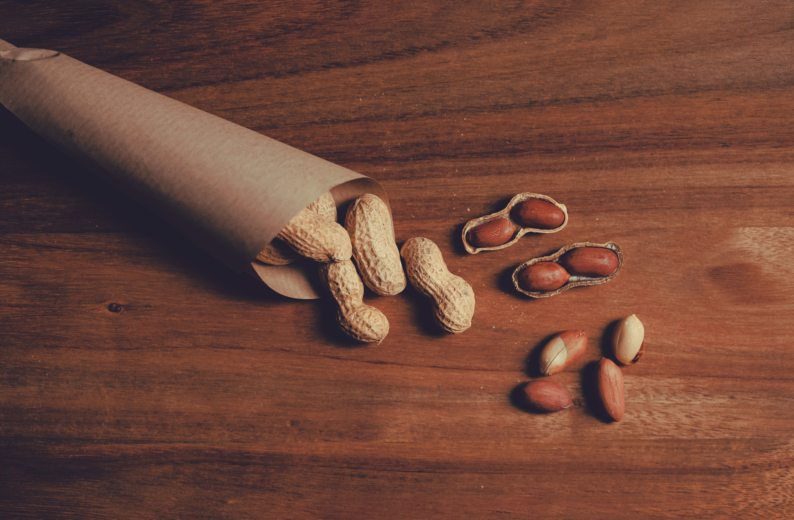 Product Photography. Xamilc Photo